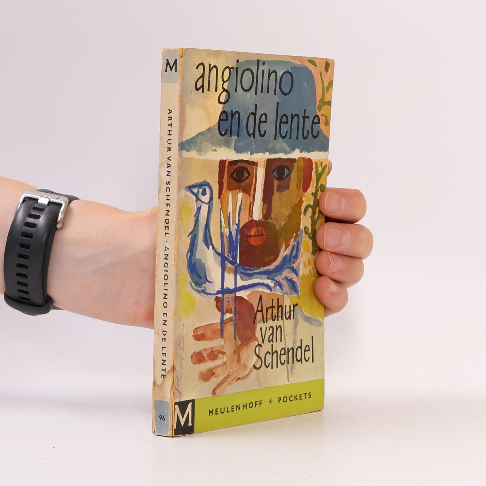 Angiolino en de lente