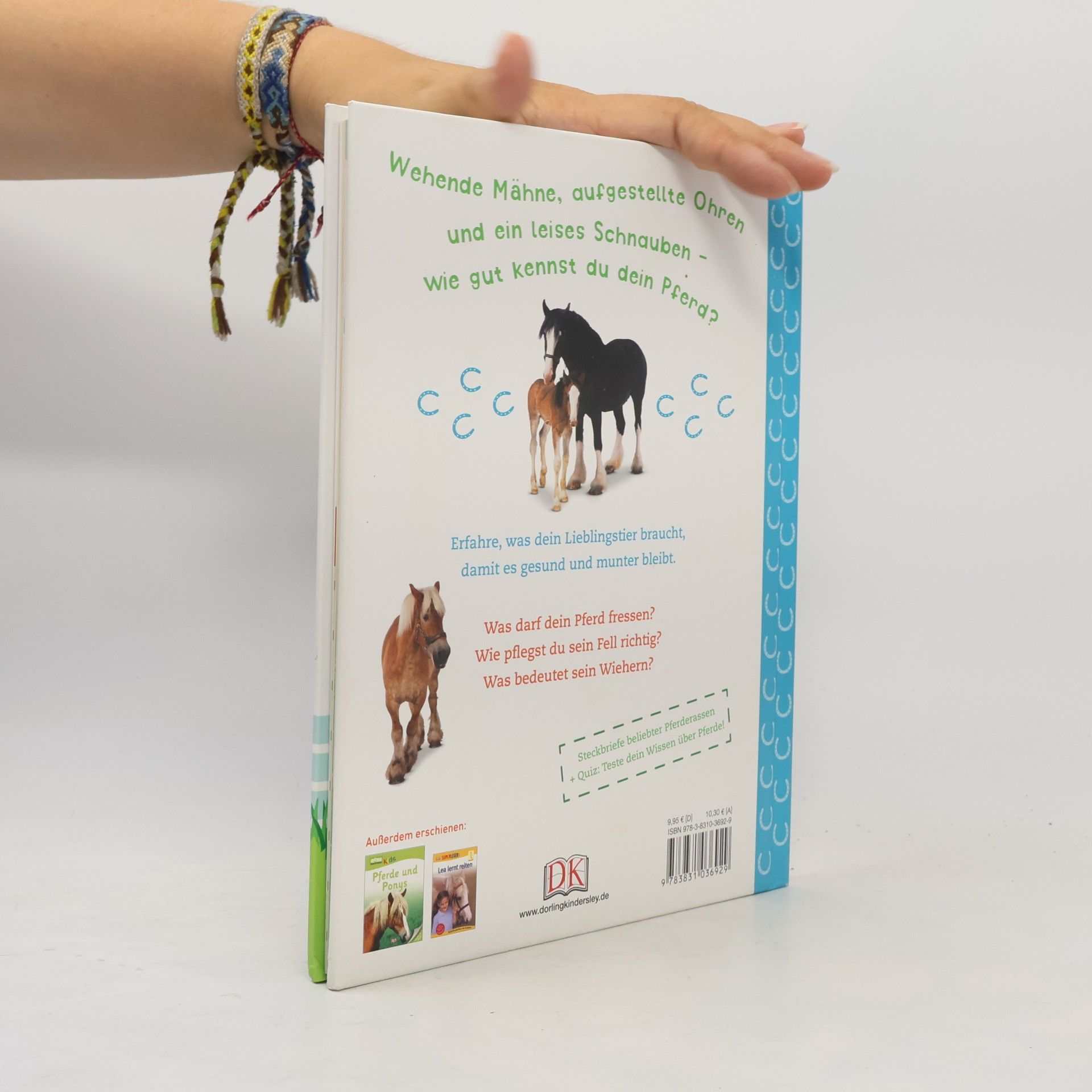 Andrea Mills Pferde und Ponys