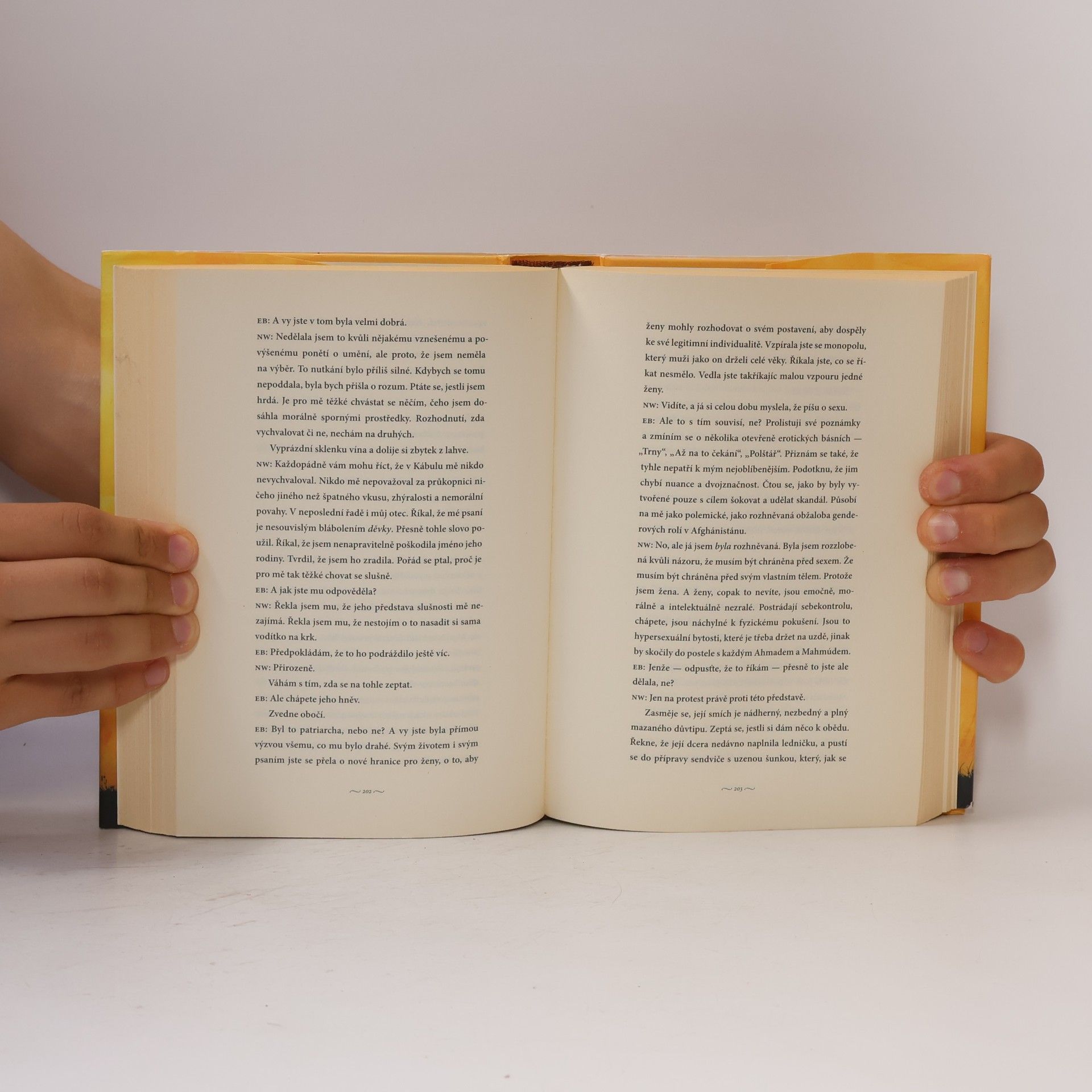 Khaled Hosseini A hory odpověděly