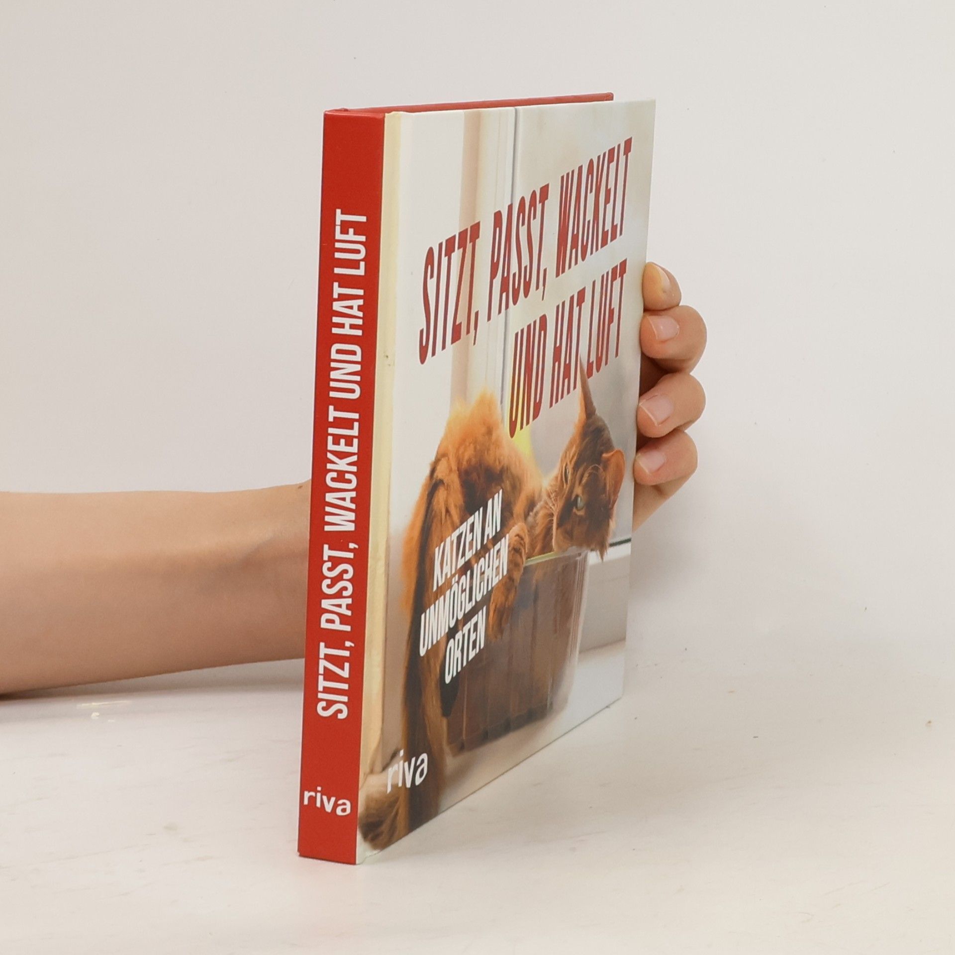 Autorenkollektiv Sitzt, passt, wackelt und hat Luft