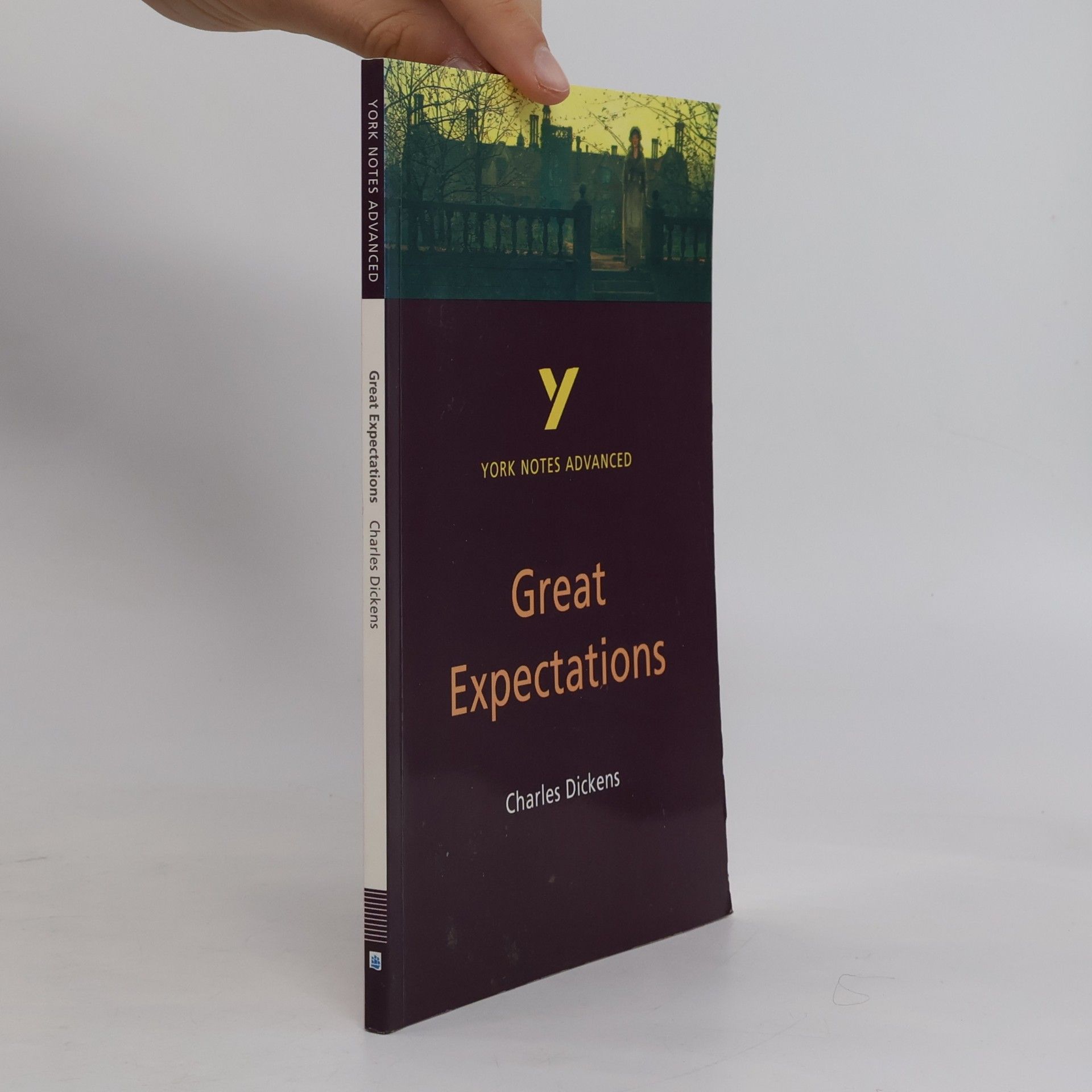 Nigel Messenger York Notes on Charles Dickens' "Great Expectations"
