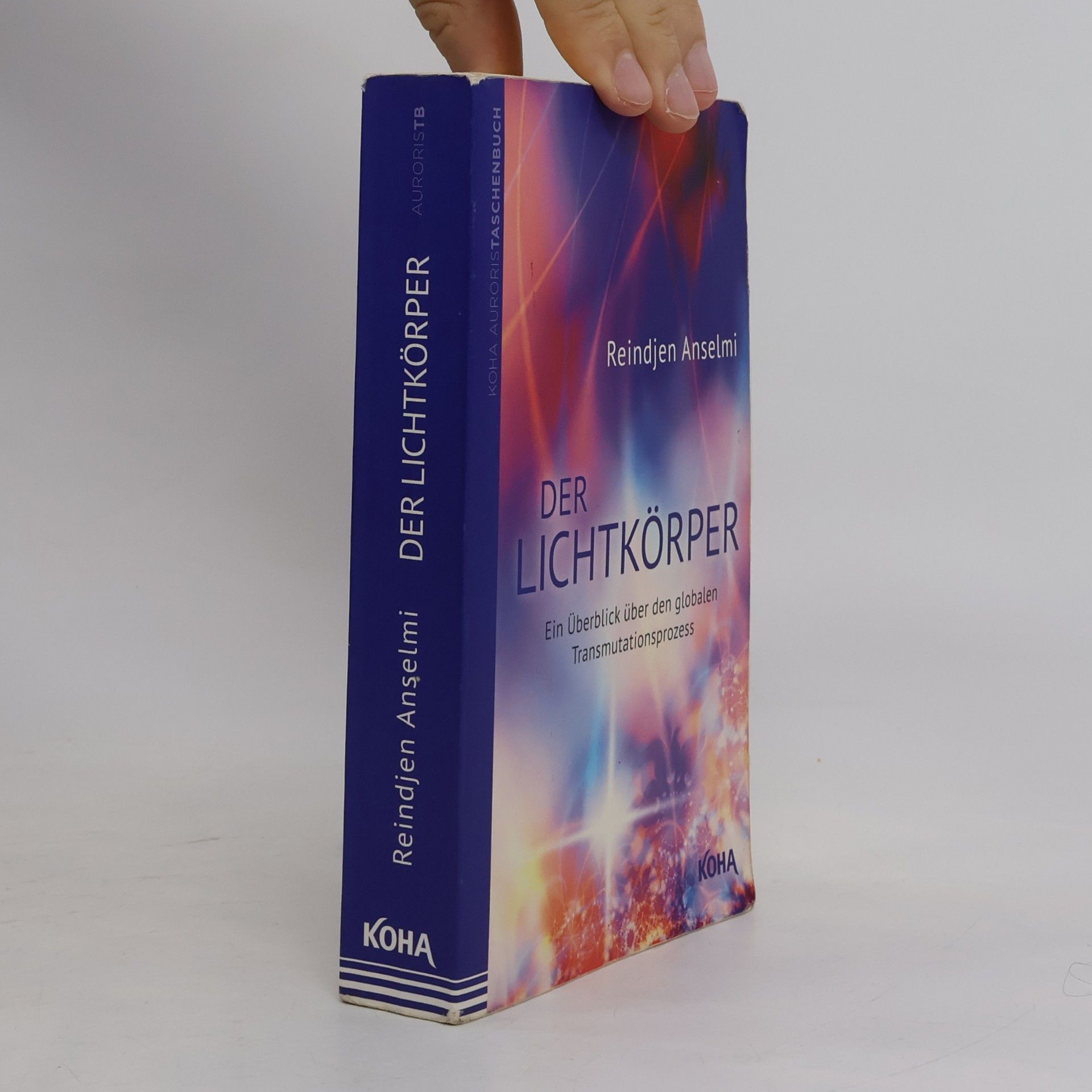 Reindjen Anselmi Der Lichtkörper
