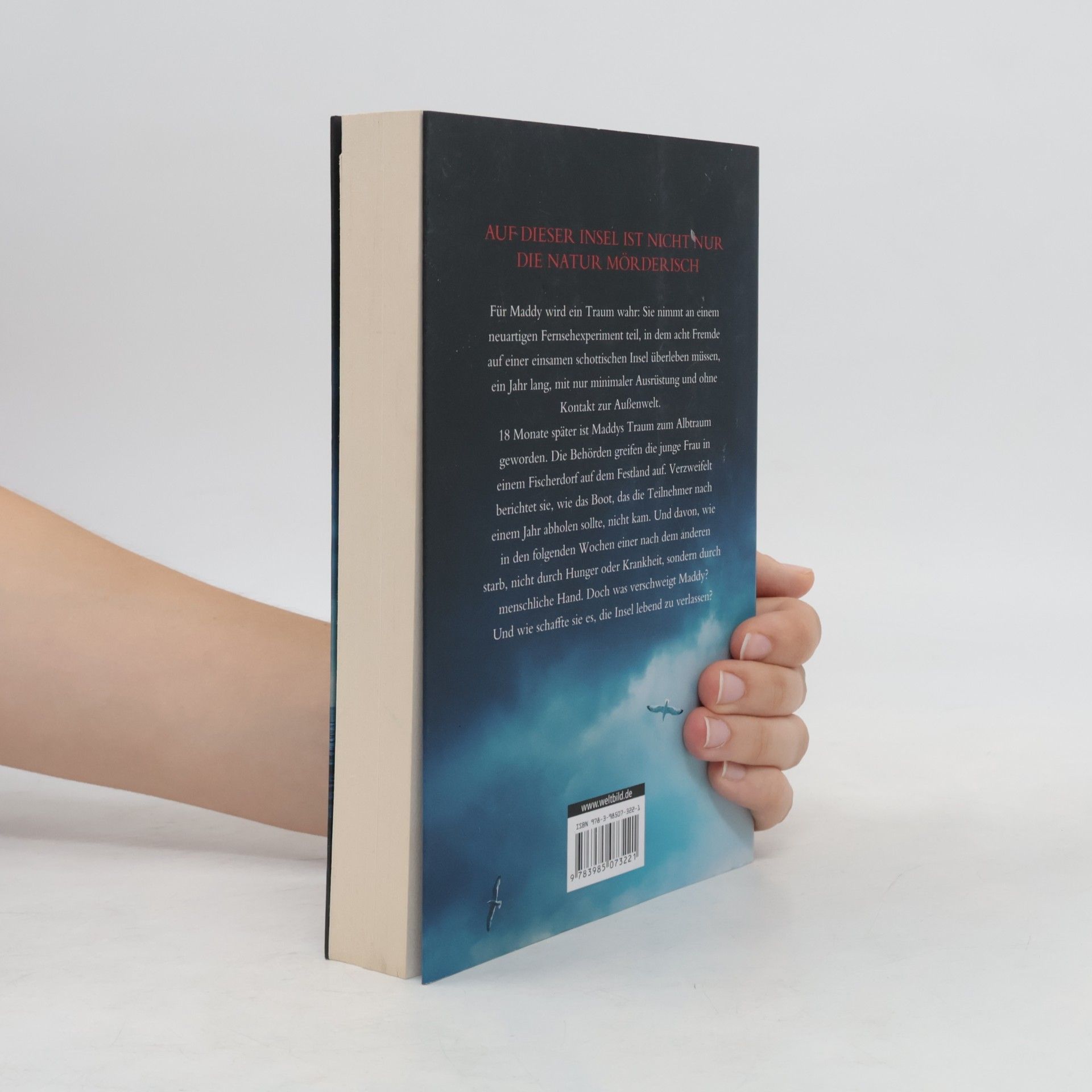 Sarah Goodwin Stranded - Die Insel