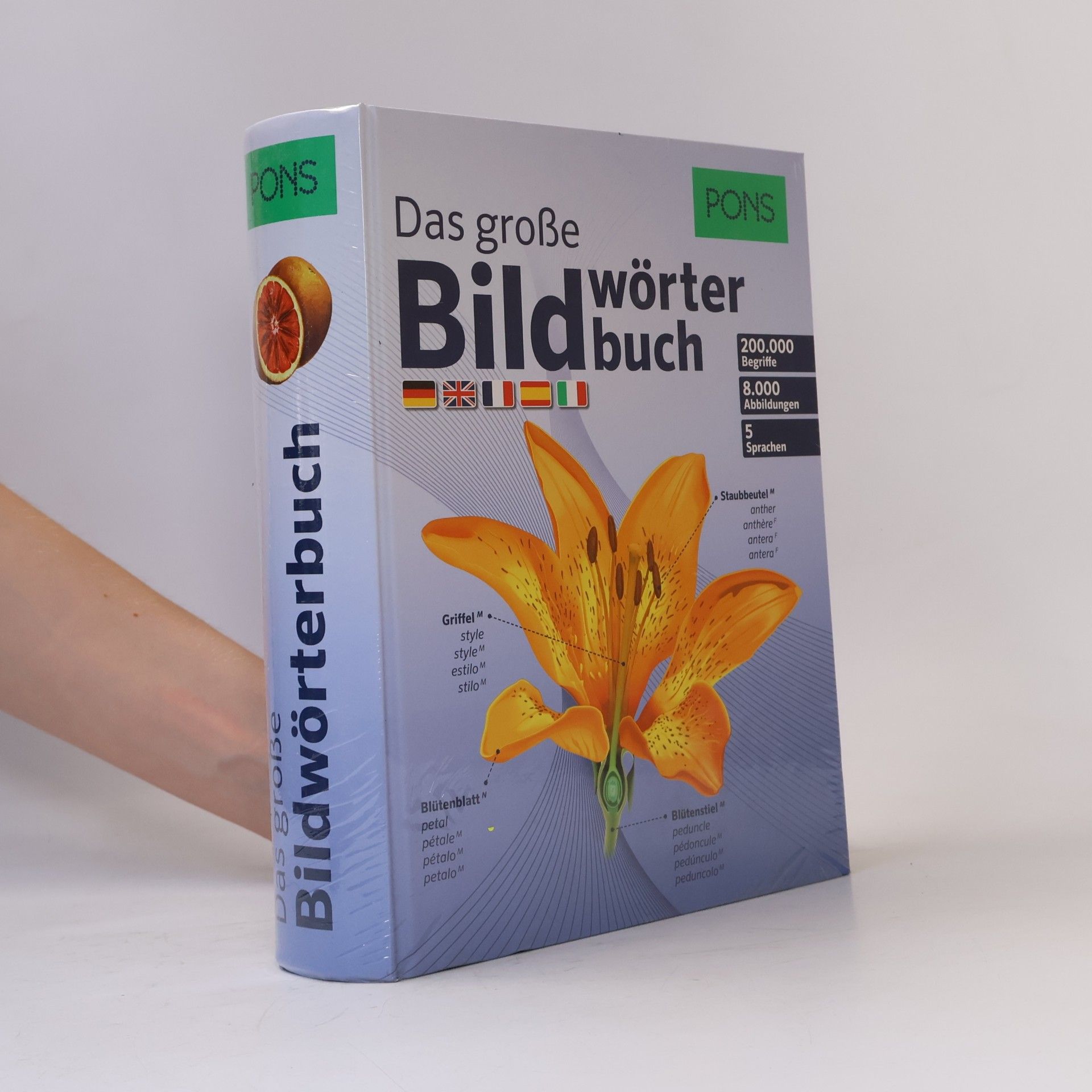 PONS Das große Bildwörterbuch