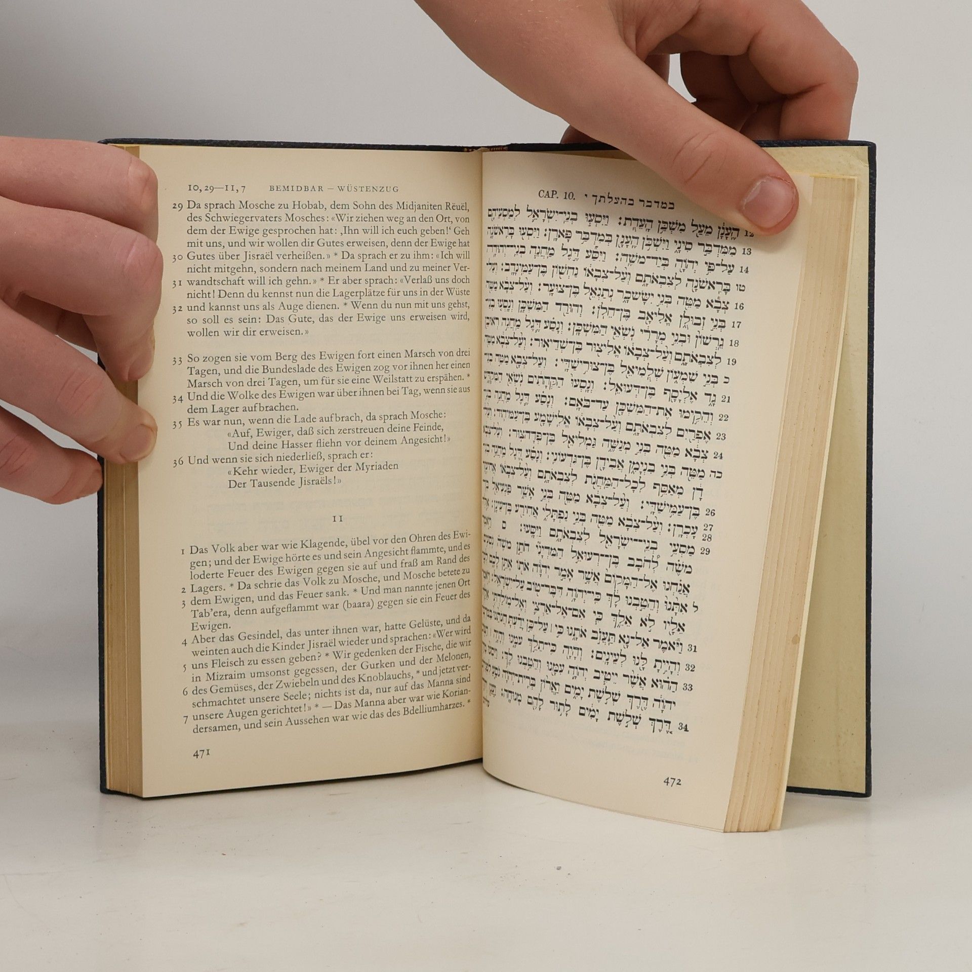 Naftali Herz Tur-Sinai Die Heilige Schrift