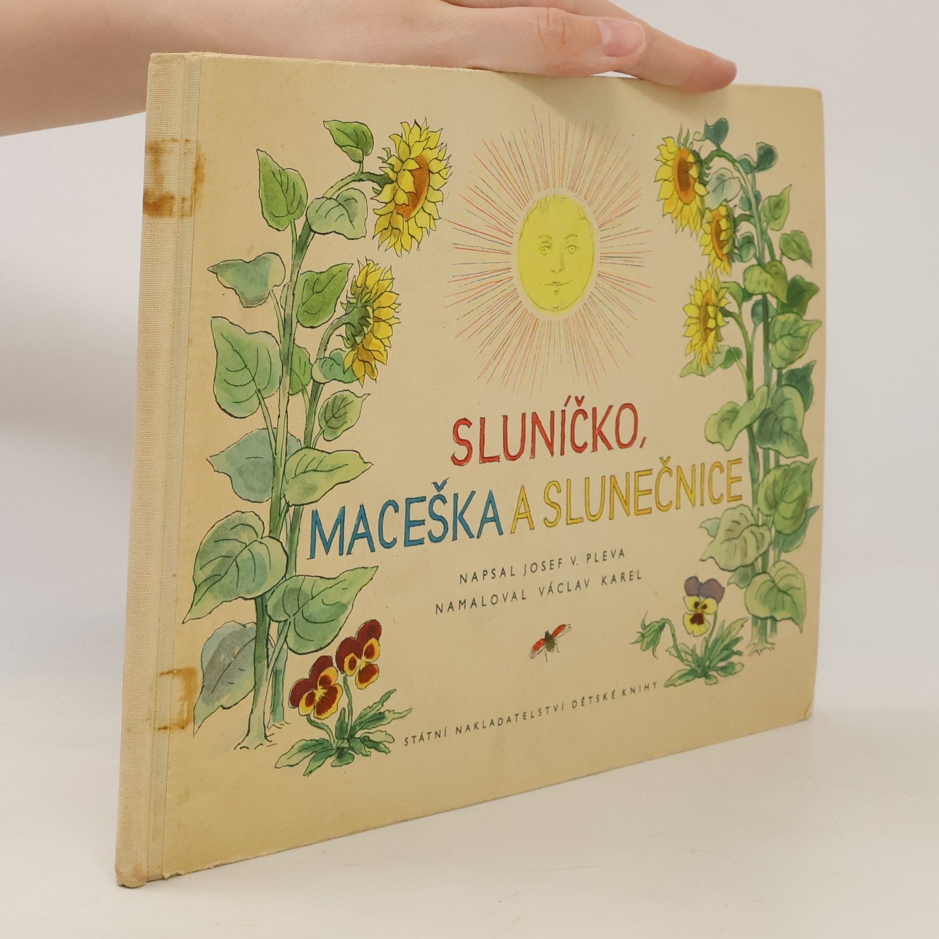 Sluníčko, maceška a slunečnice