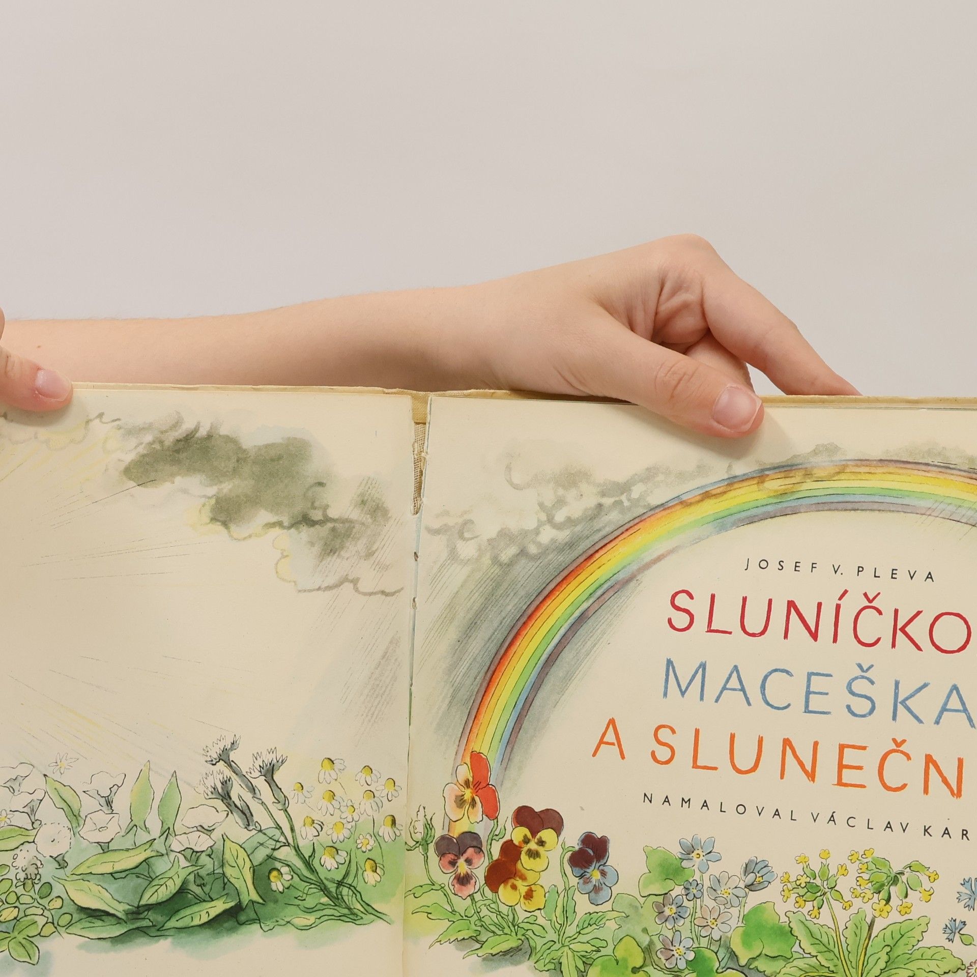 Josef Věromír Pleva Sluníčko, maceška a slunečnice