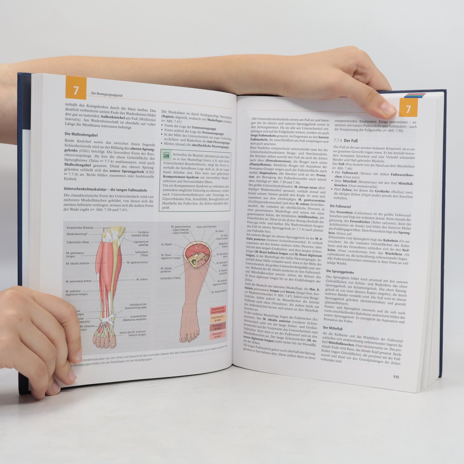 Nicole Menche Biologie, Anatomie, Physiologie