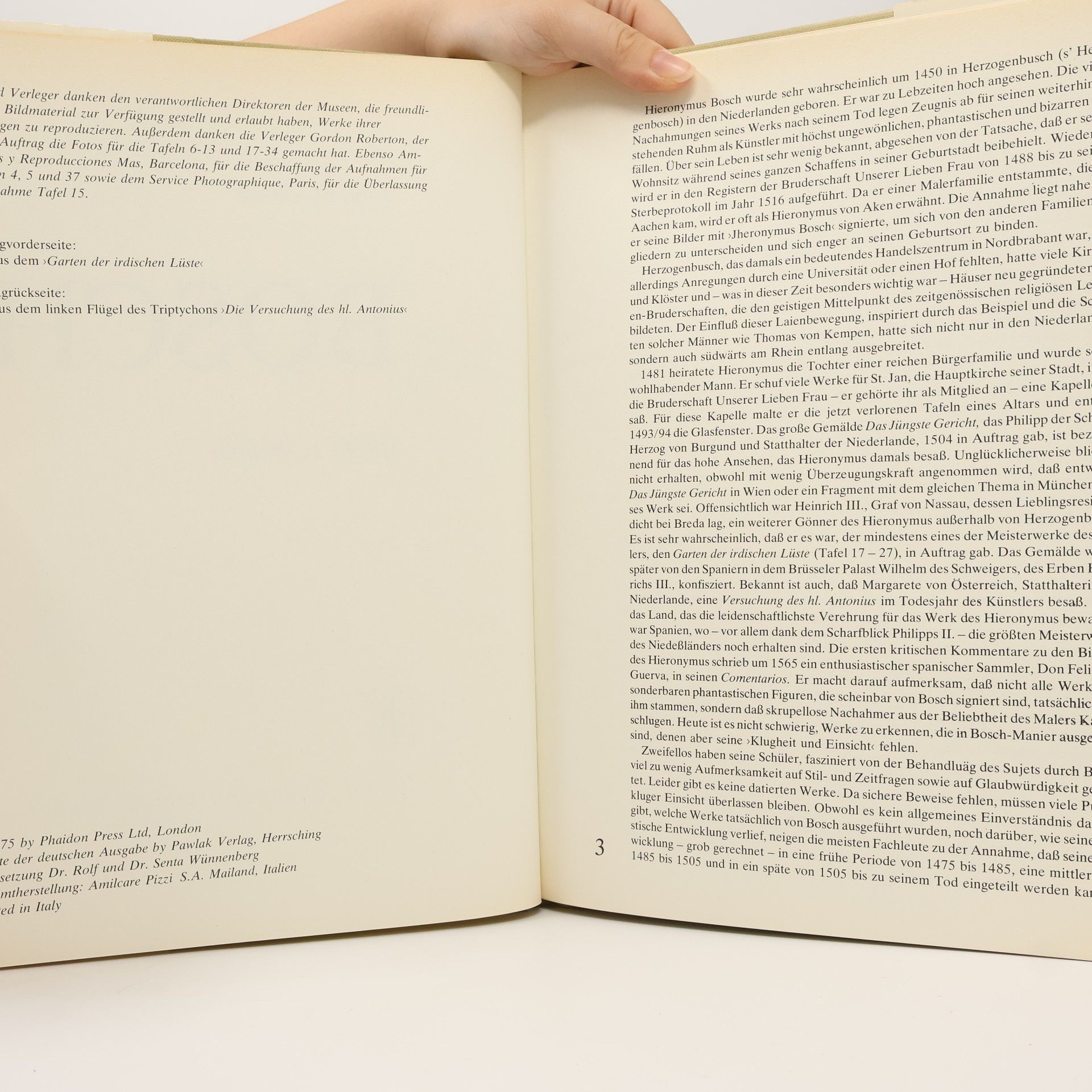 Autorenkollektiv Bosch mit 48 Farbtafeln