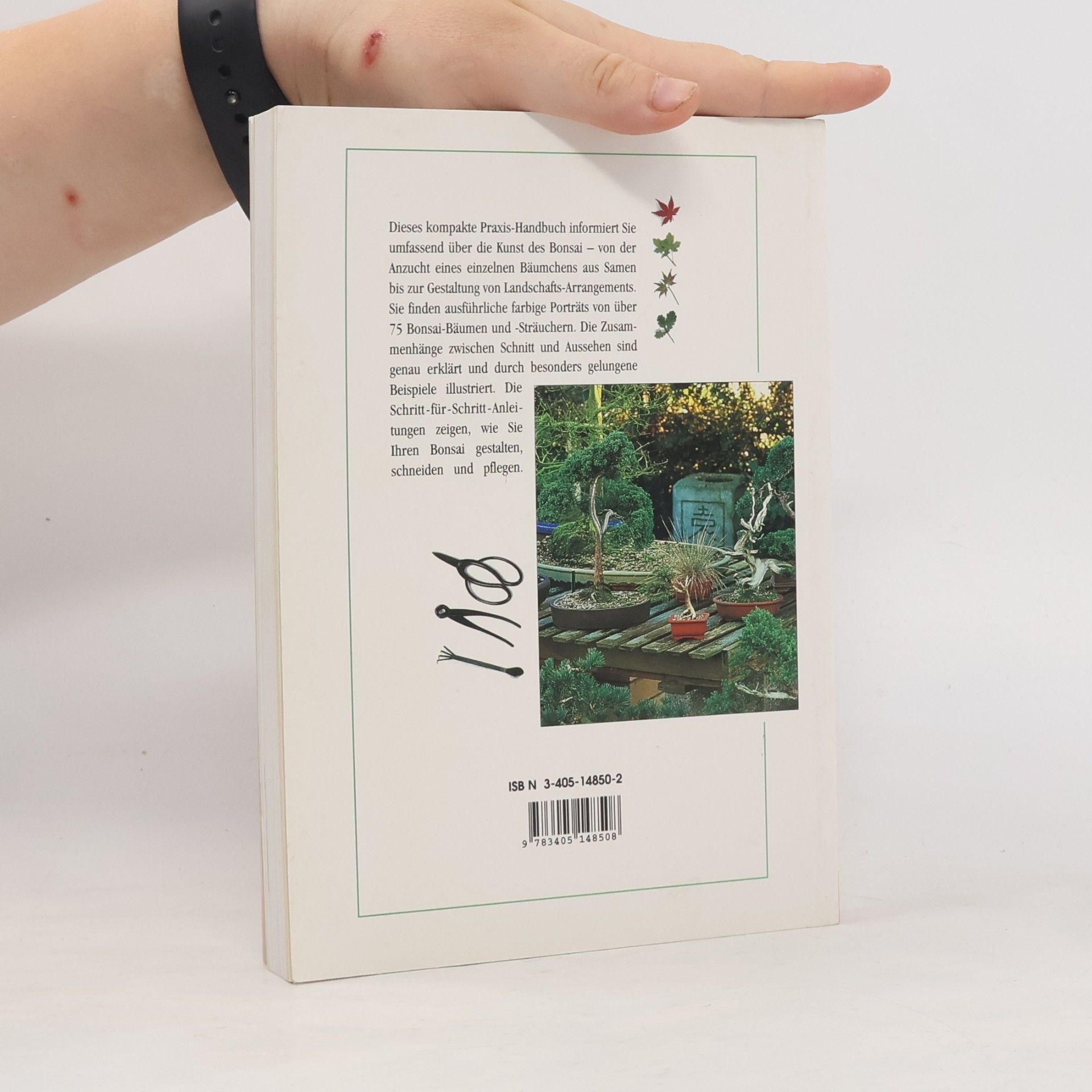 Harry Tomlinson Das BLV-Bonsai-Handbuch