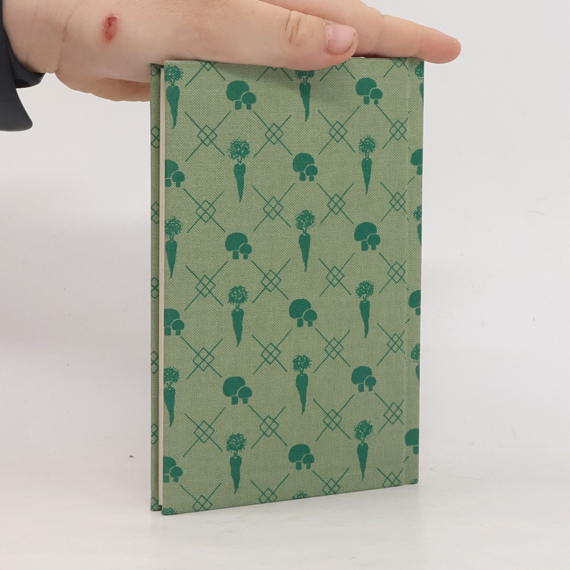 Gisela Allkemper Das kleine vegetarische Kochbuch