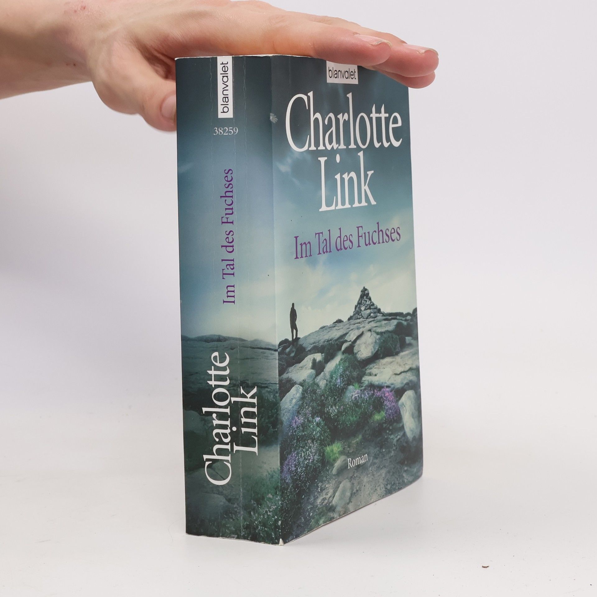 Charlotte Link Im Tal des Fuchses