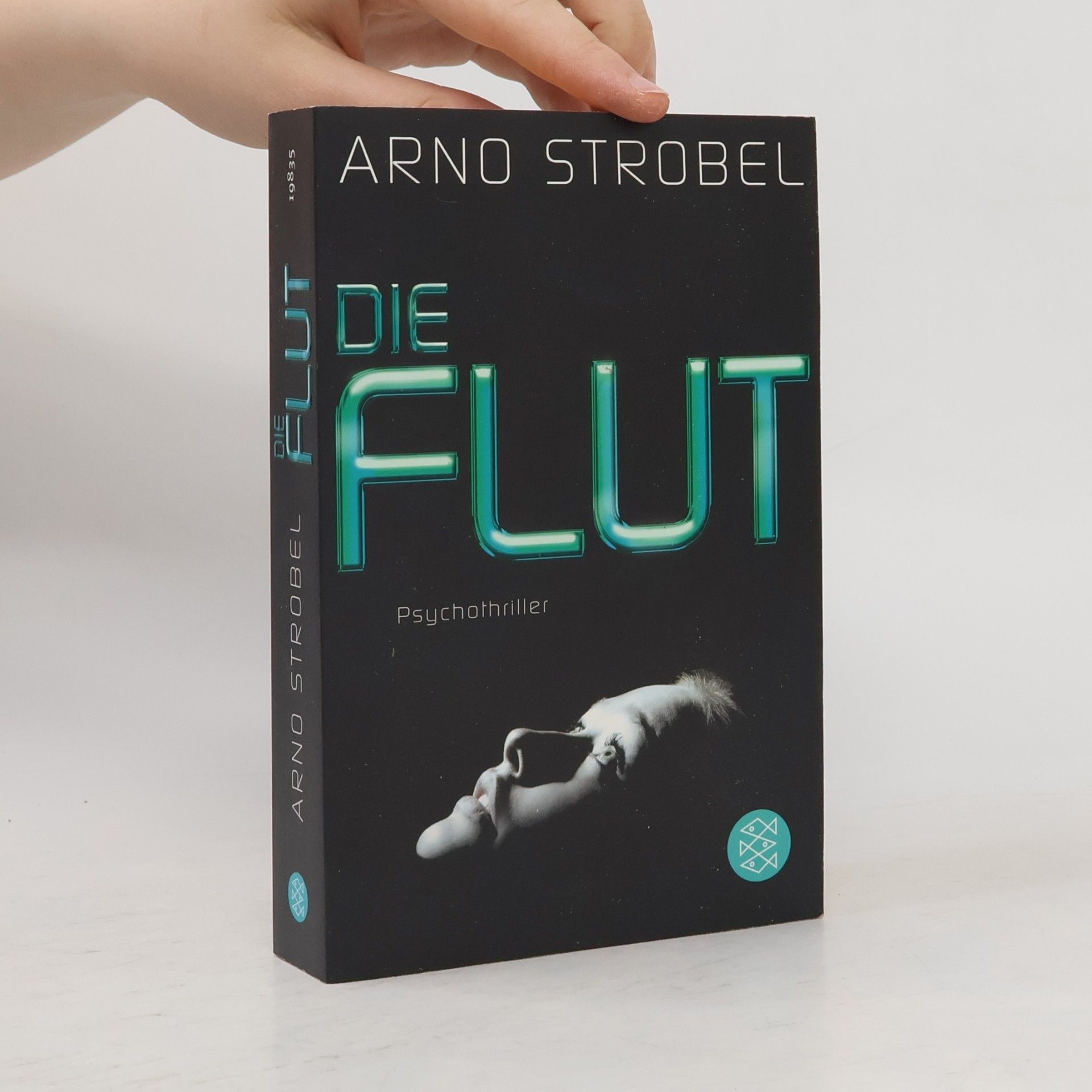 Arno Strobel Die Flut