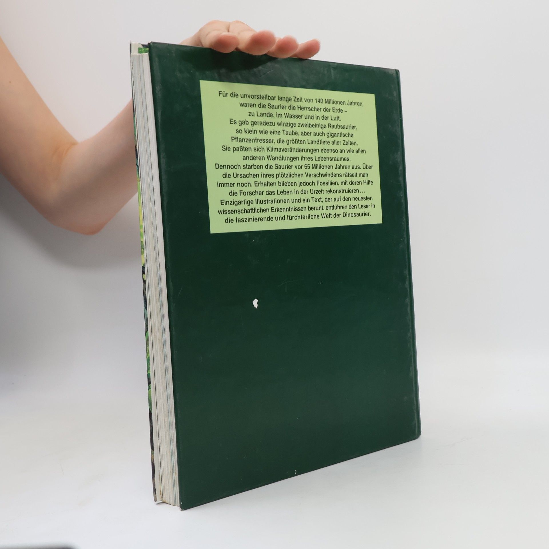 Klaus Gröper Das grosse Buch der Dinosaurier