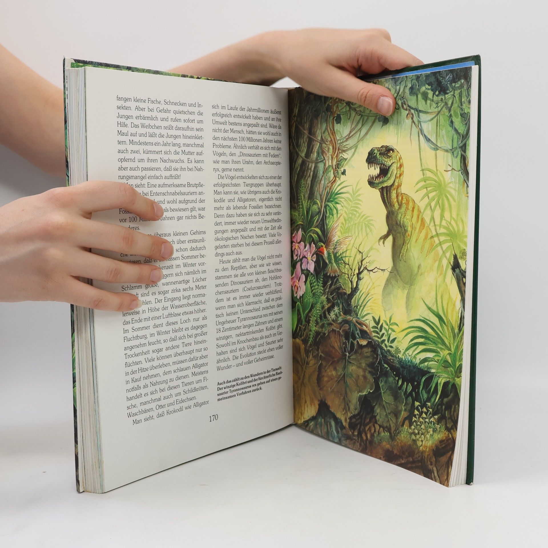 Klaus Gröper Das grosse Buch der Dinosaurier