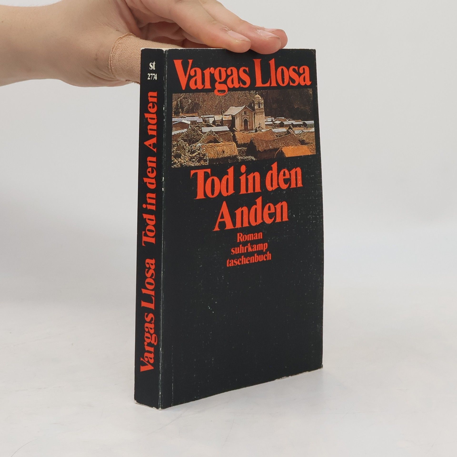 Mario Vargas Llosa Tod in den Anden