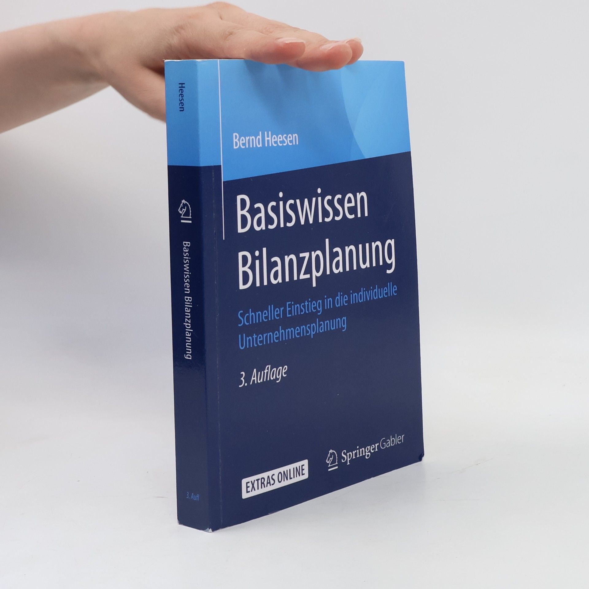 Bernd Heesen Basiswissen Bilanzplanung