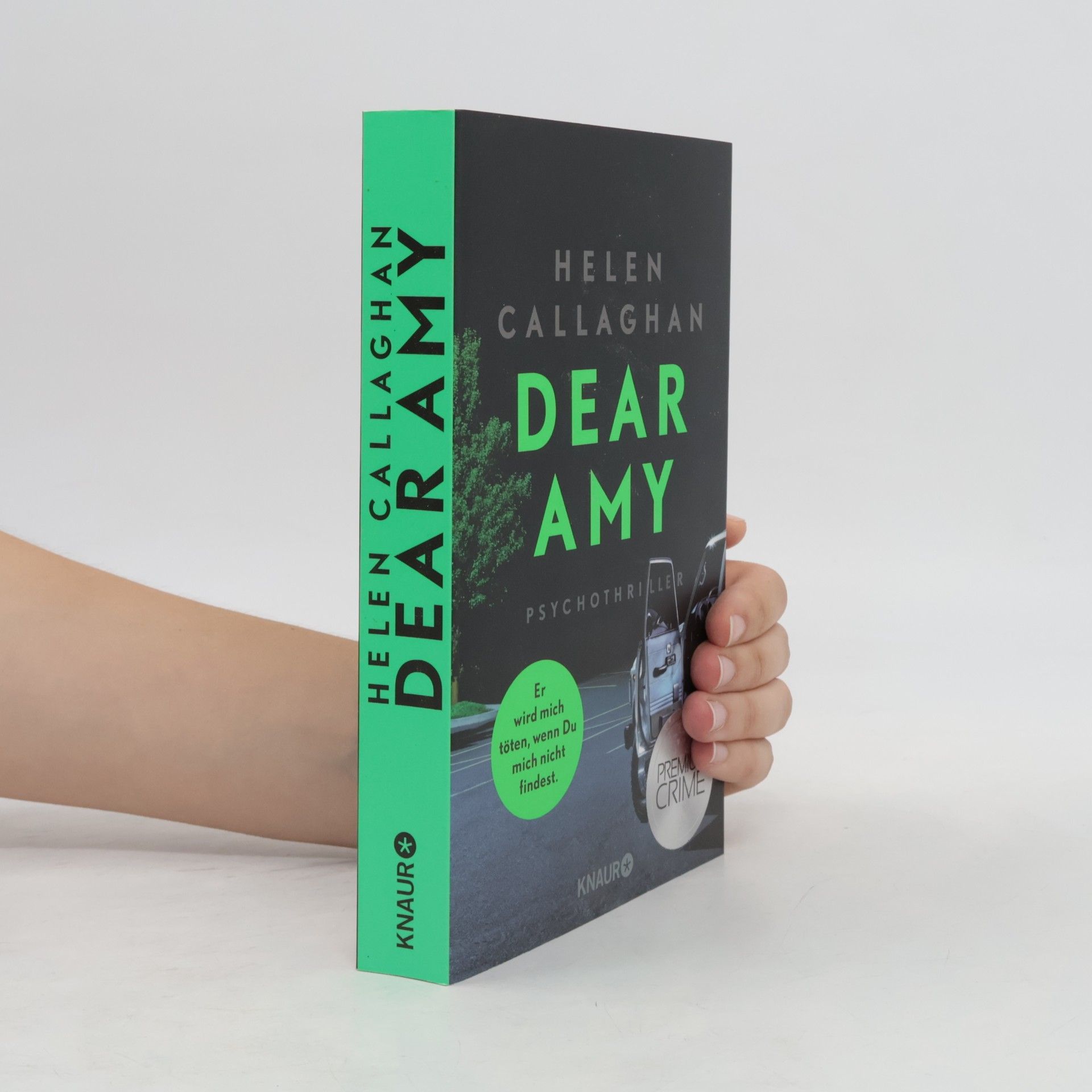 Helen Callaghan Dear Amy