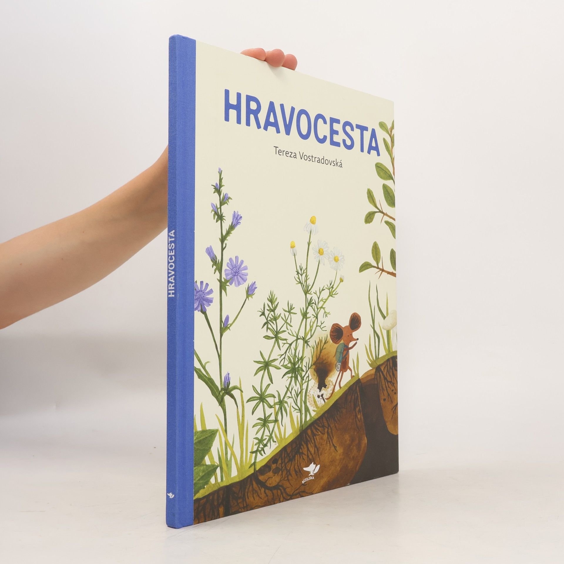 Tereza Vostradovská Hravocesta