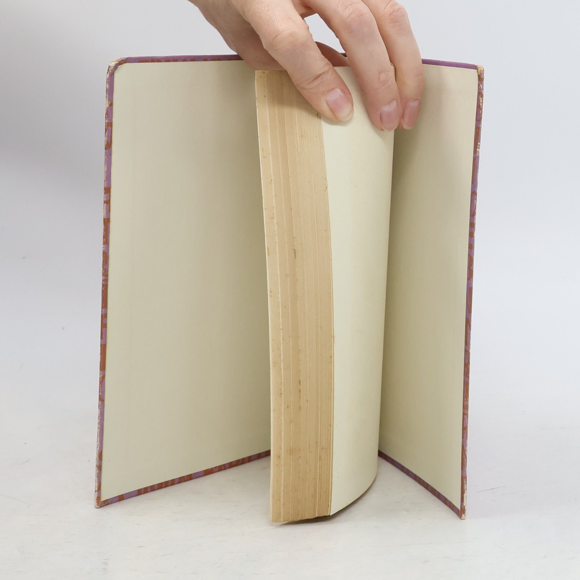 Autorenkollektiv Fourteen Prose Pieces and some Verse