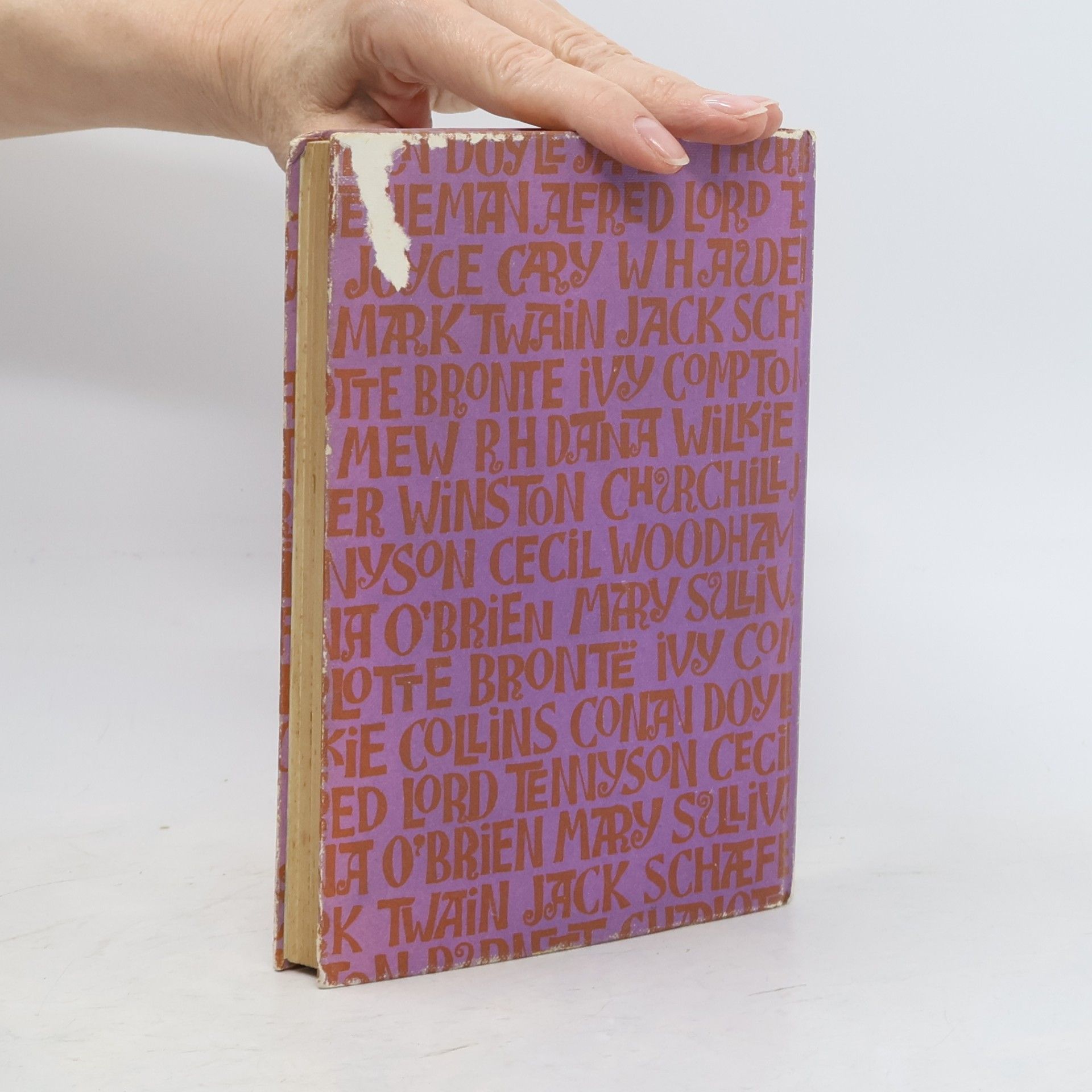 Autorenkollektiv Fourteen Prose Pieces and some Verse