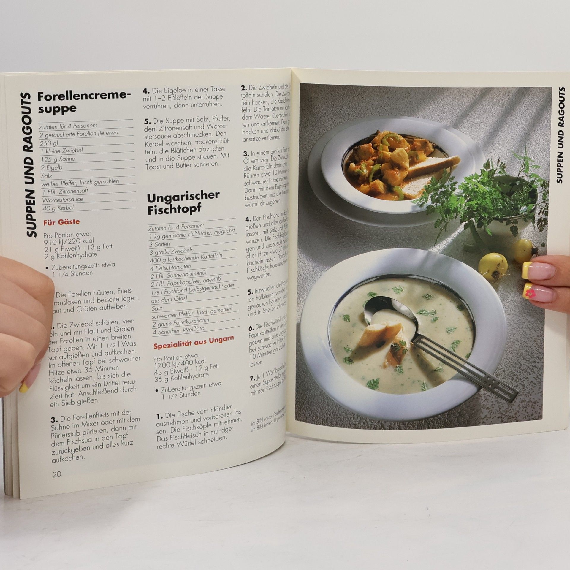 Autorenkollektiv Fisch und Meeresfrüchte