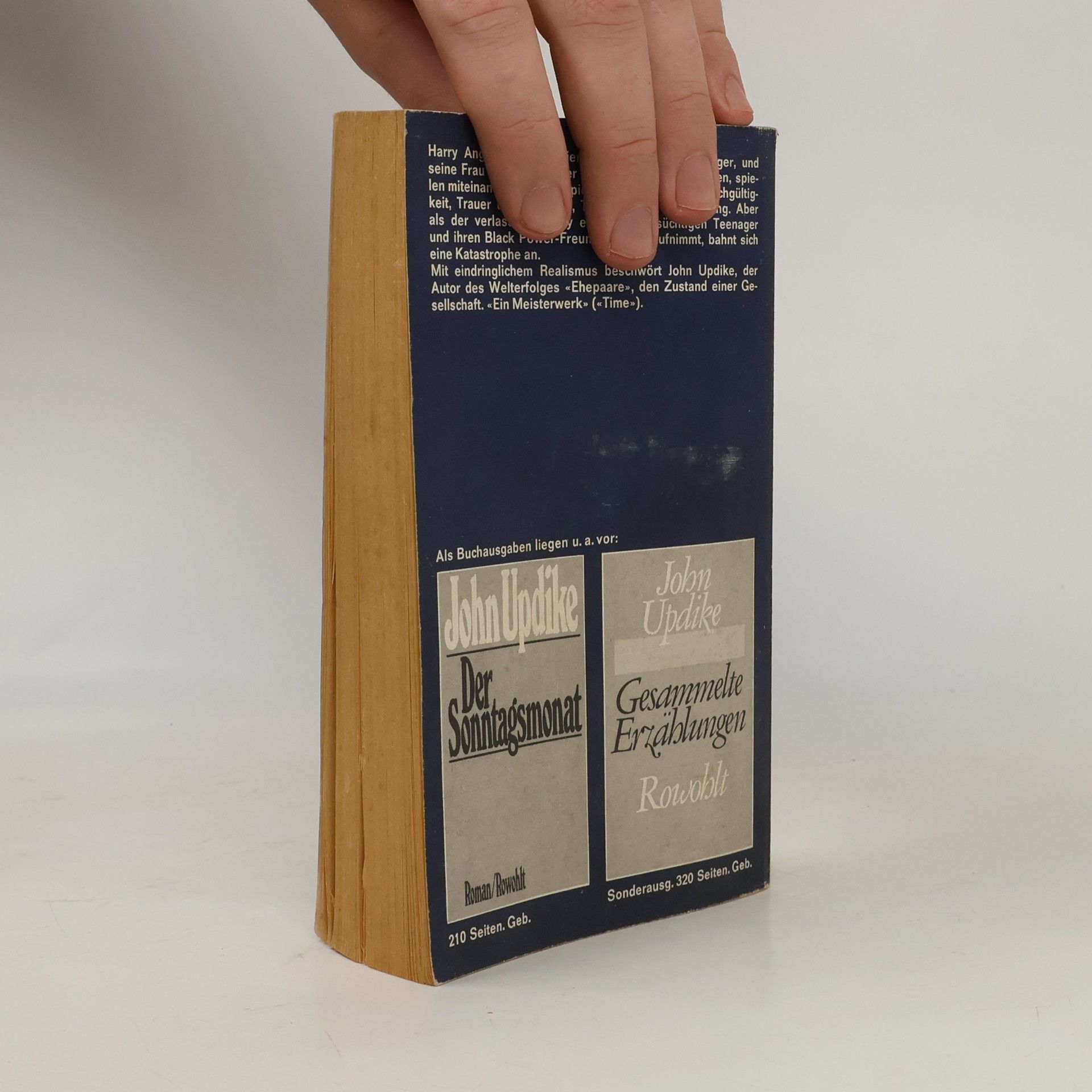John Updike Unter dem Astronautenmond