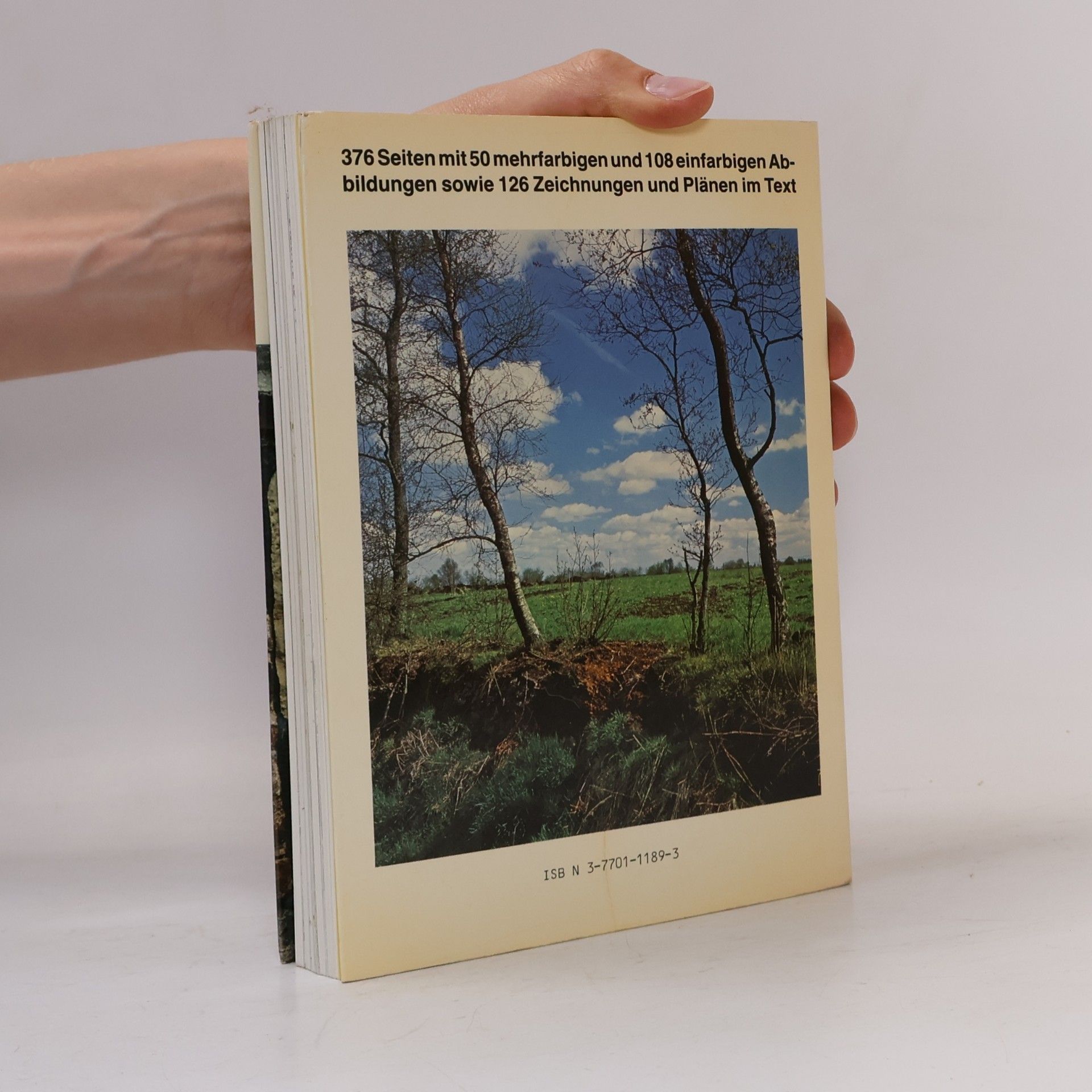 Rainer Krawitz Ostfriesland mit Jever- und Wangerland