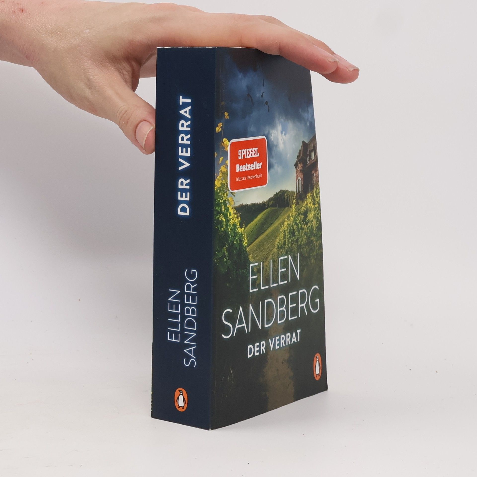 Ellen Sandberg Der Verrat