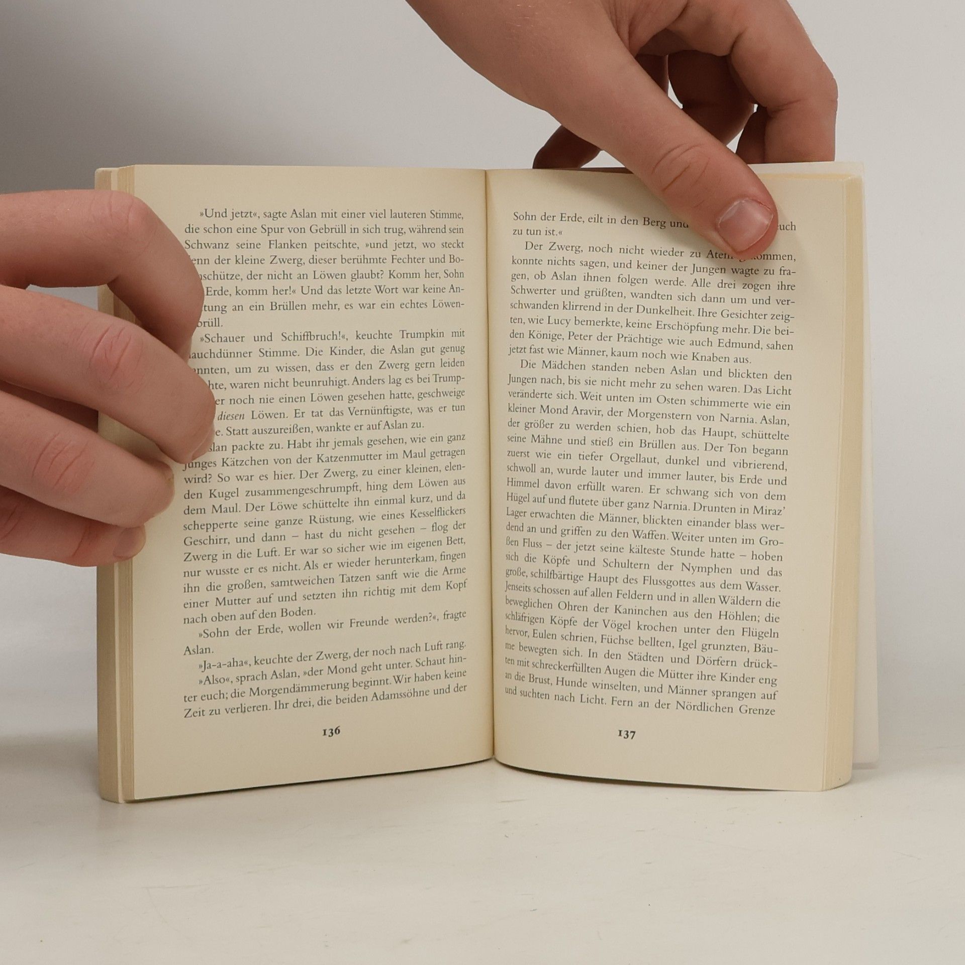 C. S. Lewis Die Chroniken von Narnia: Prinz Kaspian von Narnia