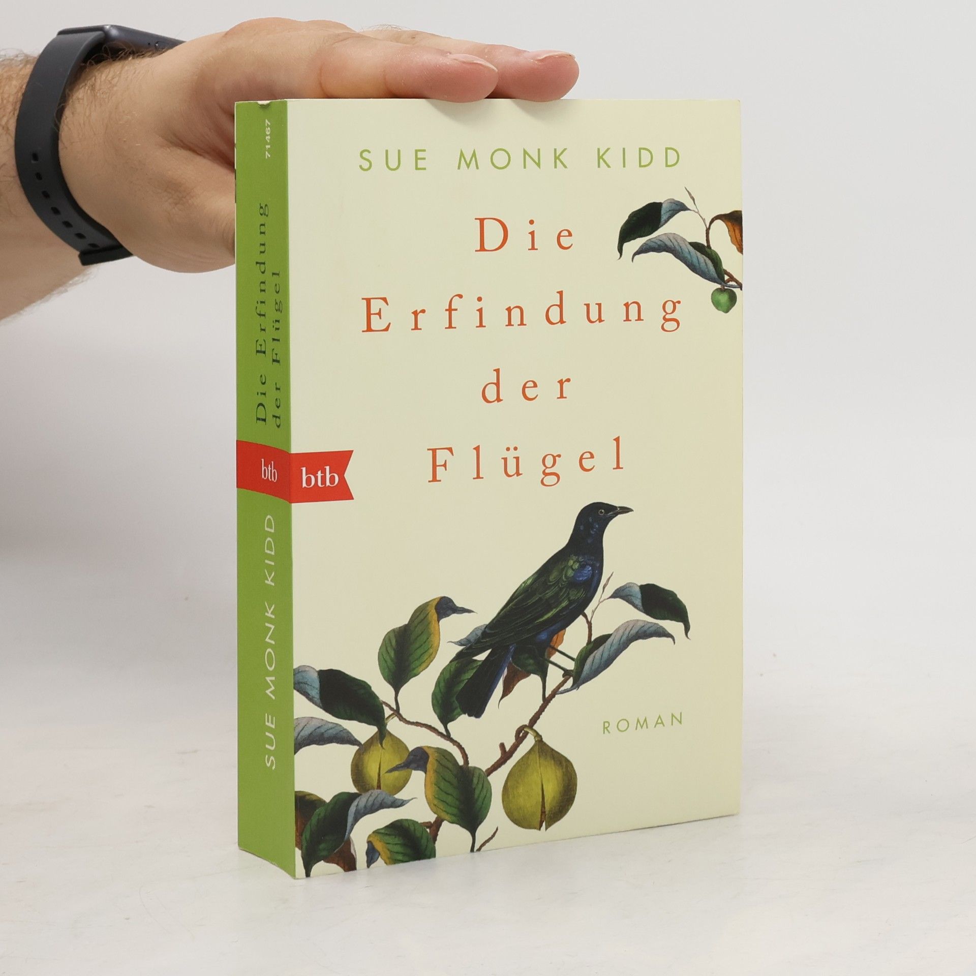Sue Monk Kidd Die Erfindung der Flügel