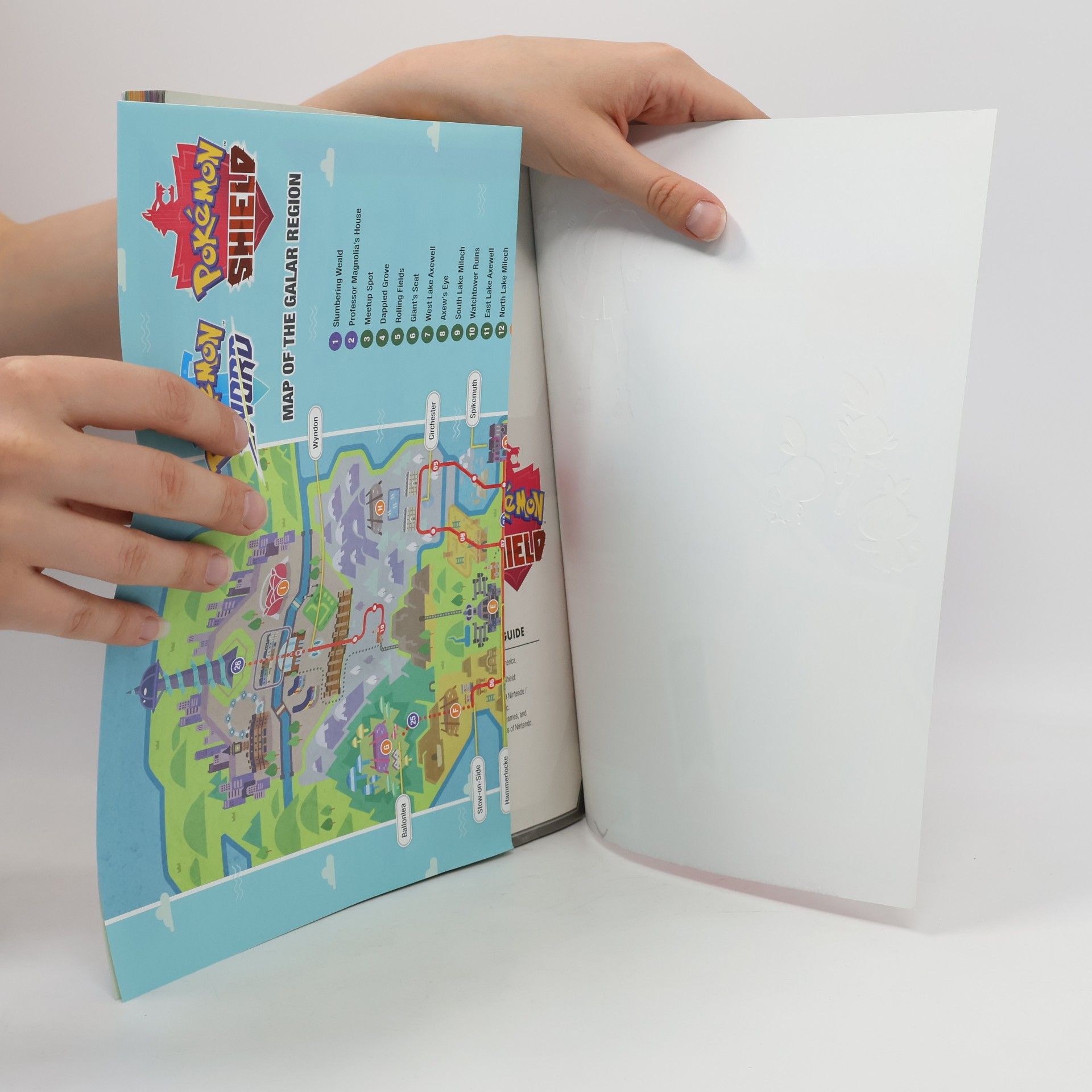 The Pokemon Company International Inc Pokémon Sword & Pokémon Shield: The Official Galar Region Strategy Guide