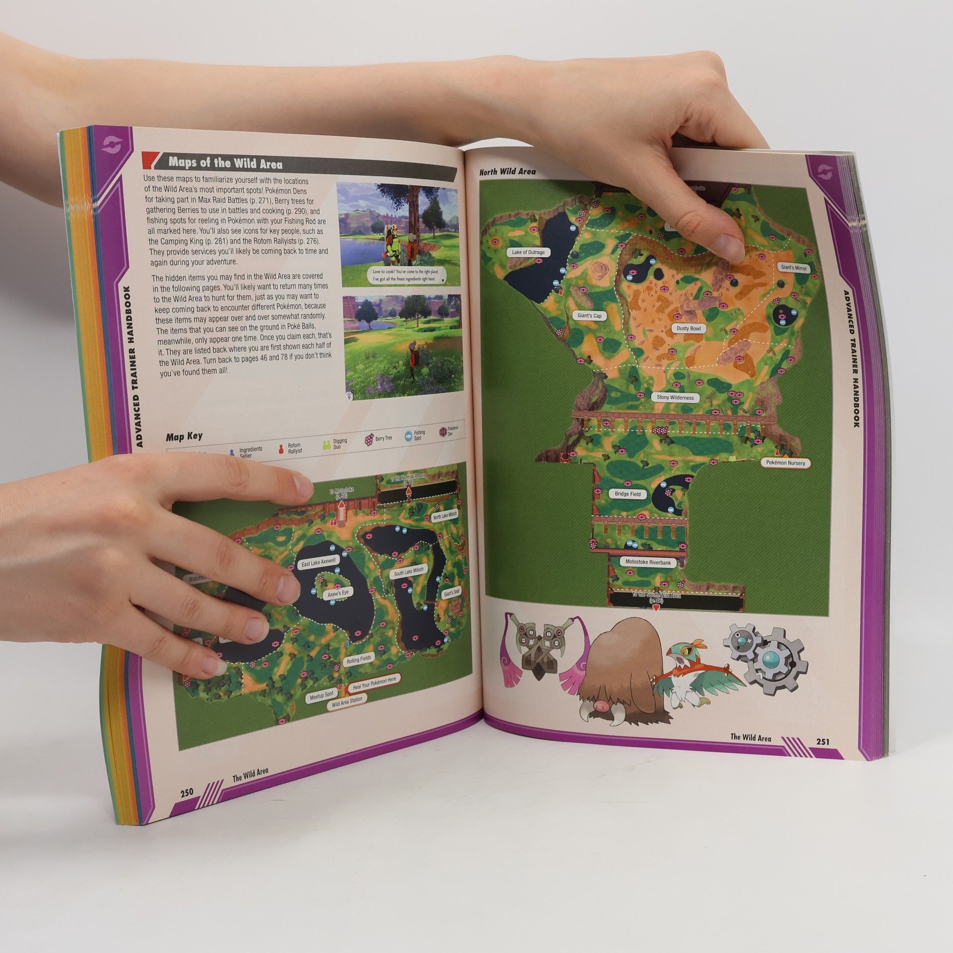 The Pokemon Company International Inc Pokémon Sword & Pokémon Shield: The Official Galar Region Strategy Guide