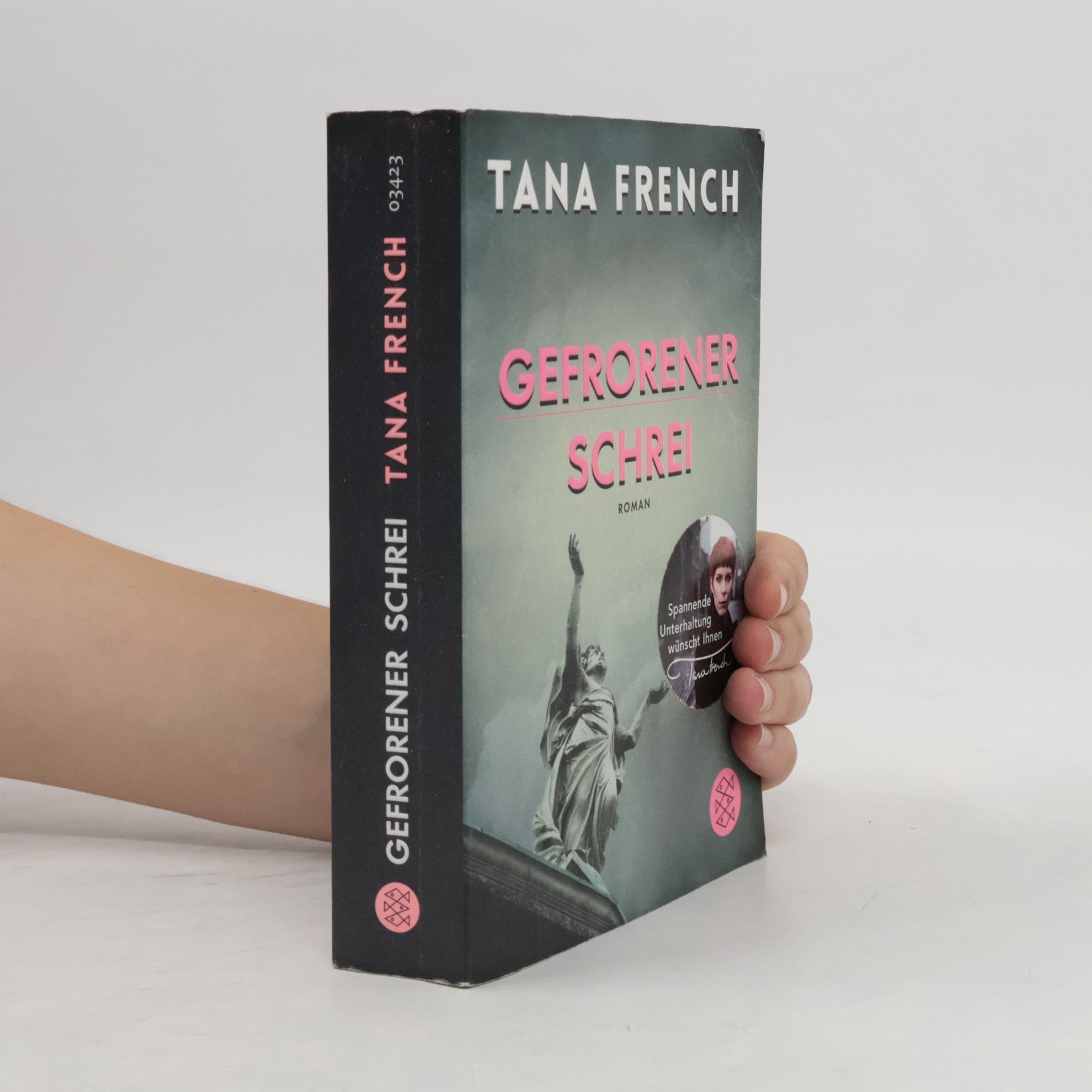 Tana French Gefrorener Schrei