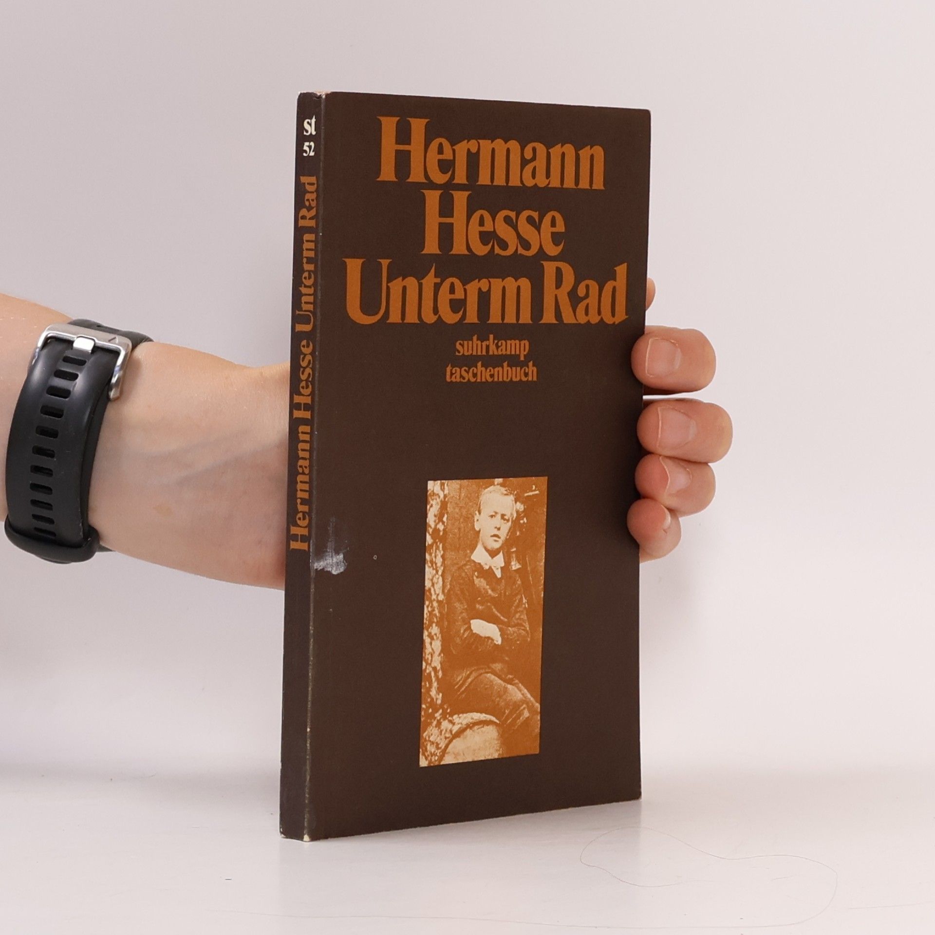 Hermann Hesse Unterm Rad