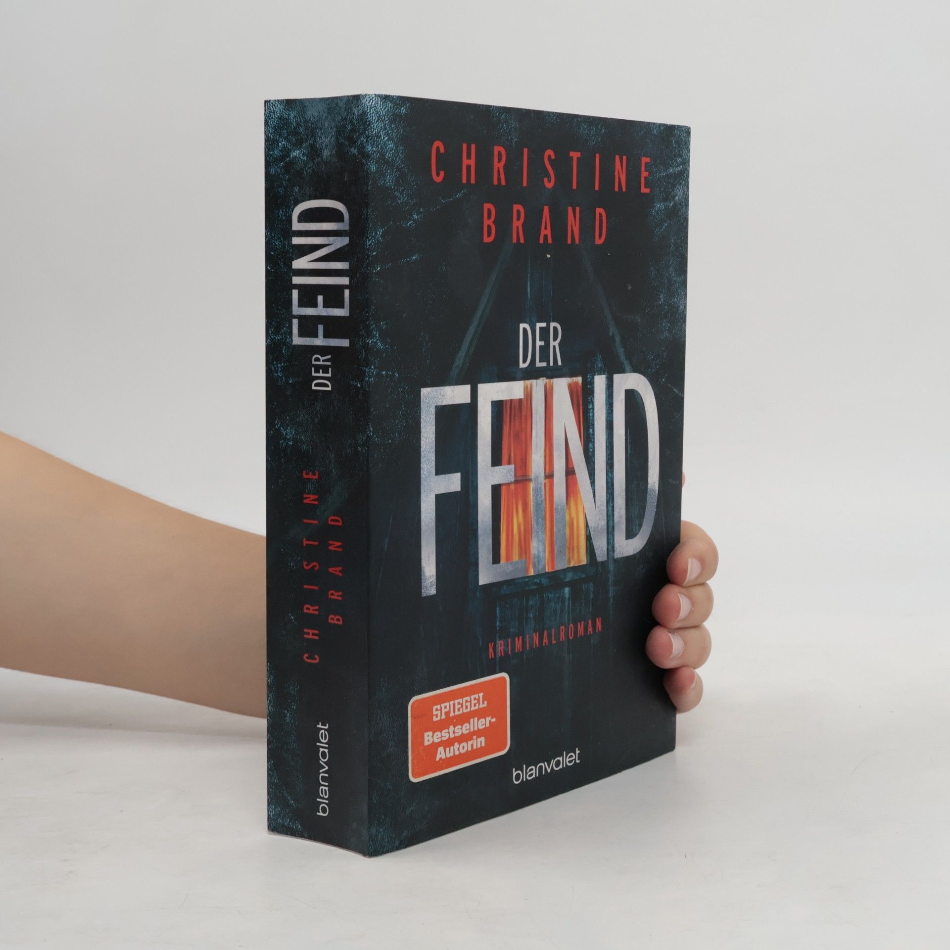 Christine Brand Der Feind