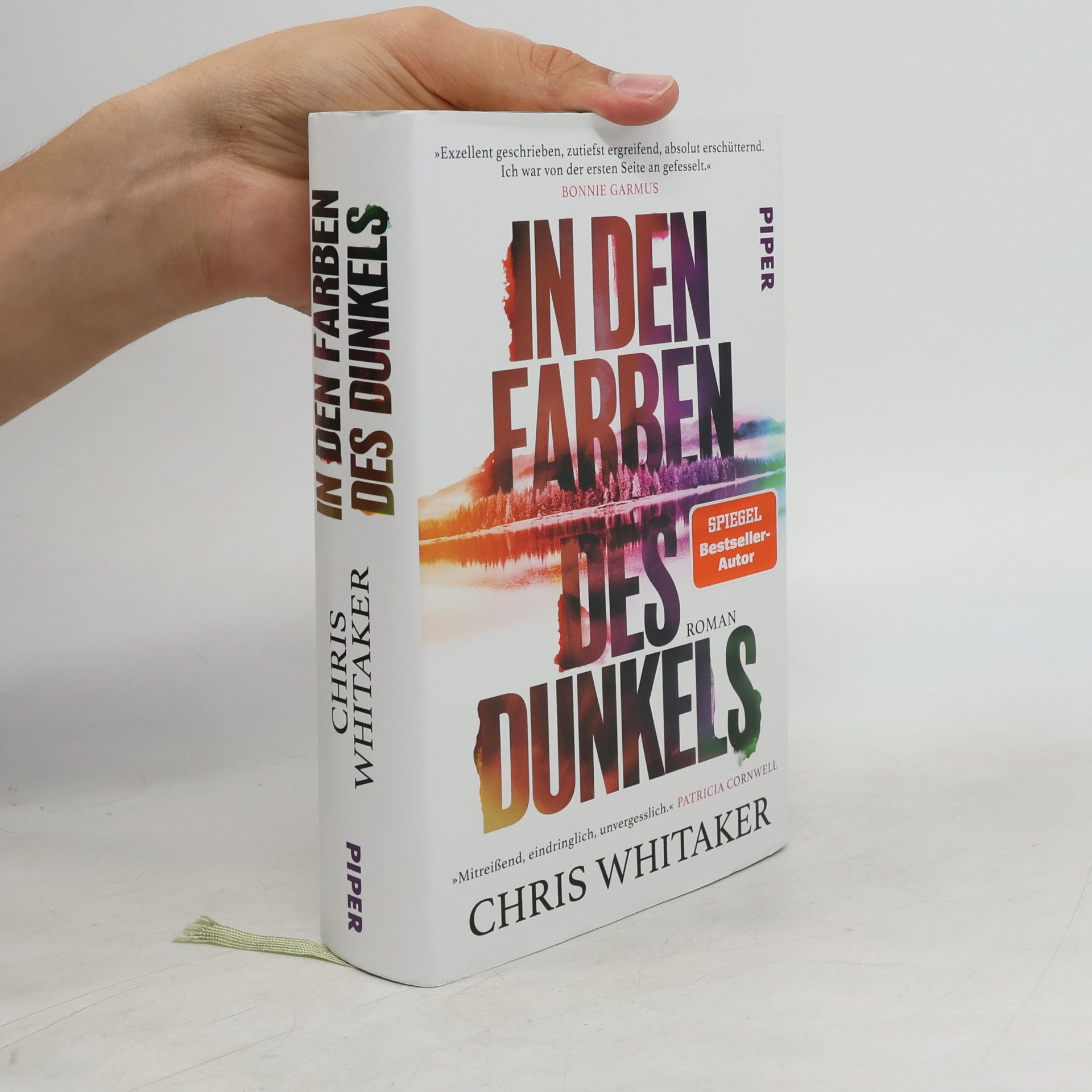 Chris Whitaker In den Farben des Dunkels