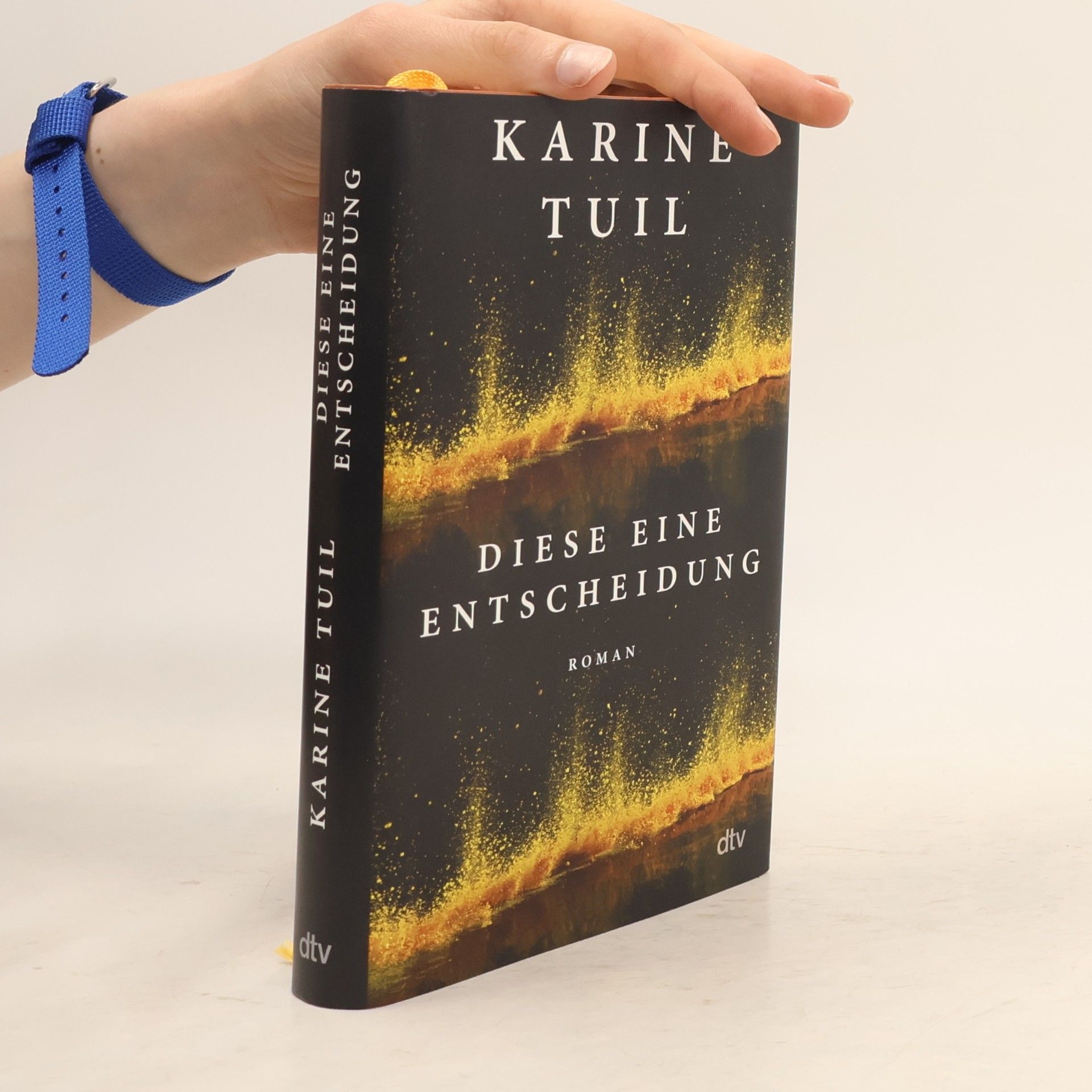 Karine Tuil Diese eine Entscheidung