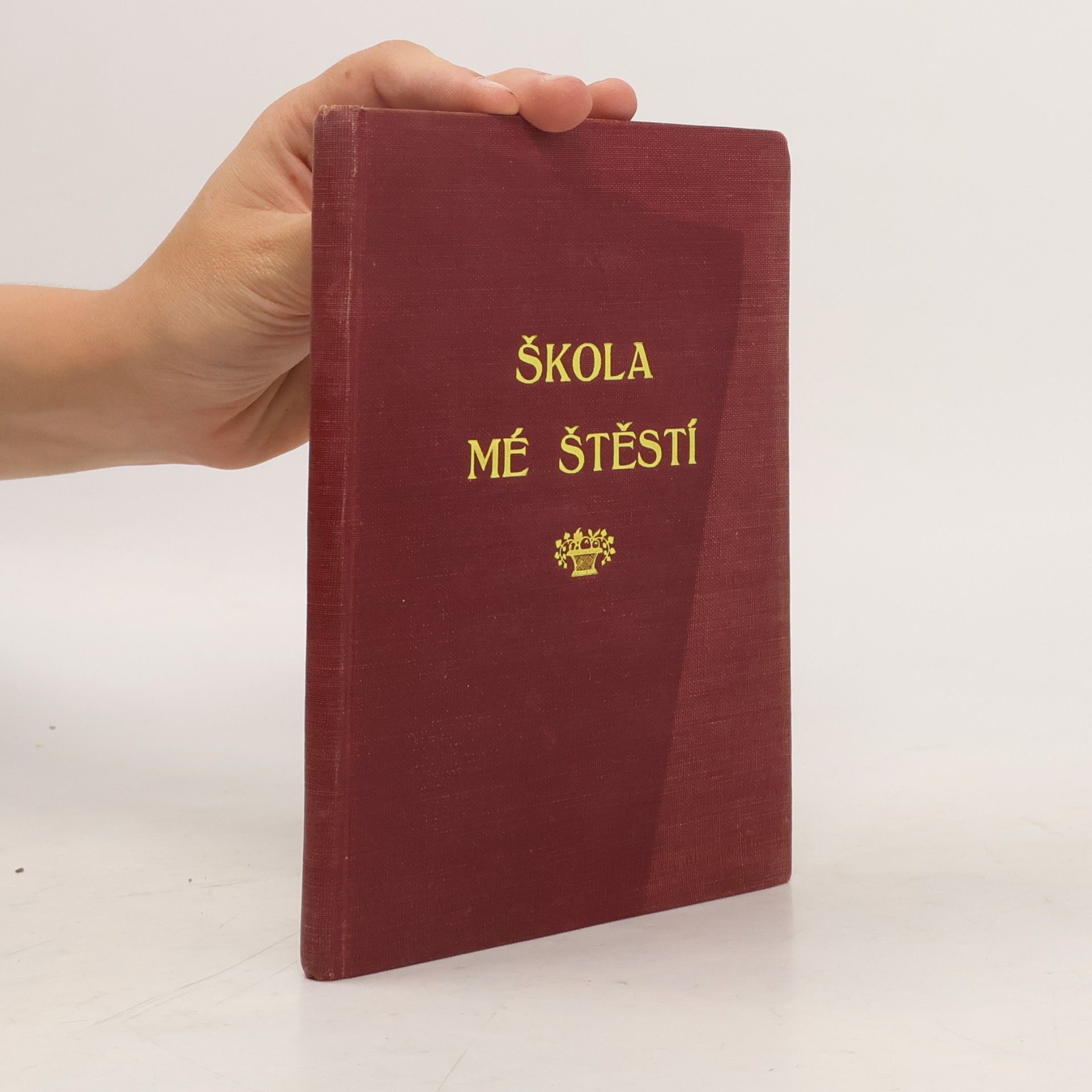 Škola mé štěstí