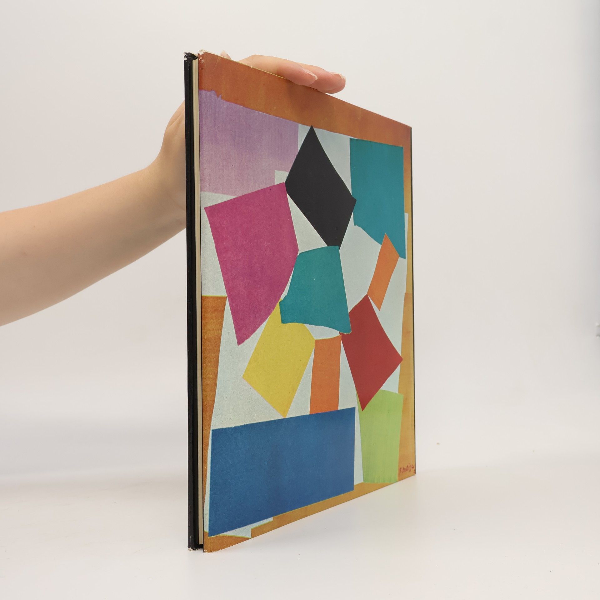 Autorenkollektiv Matisse