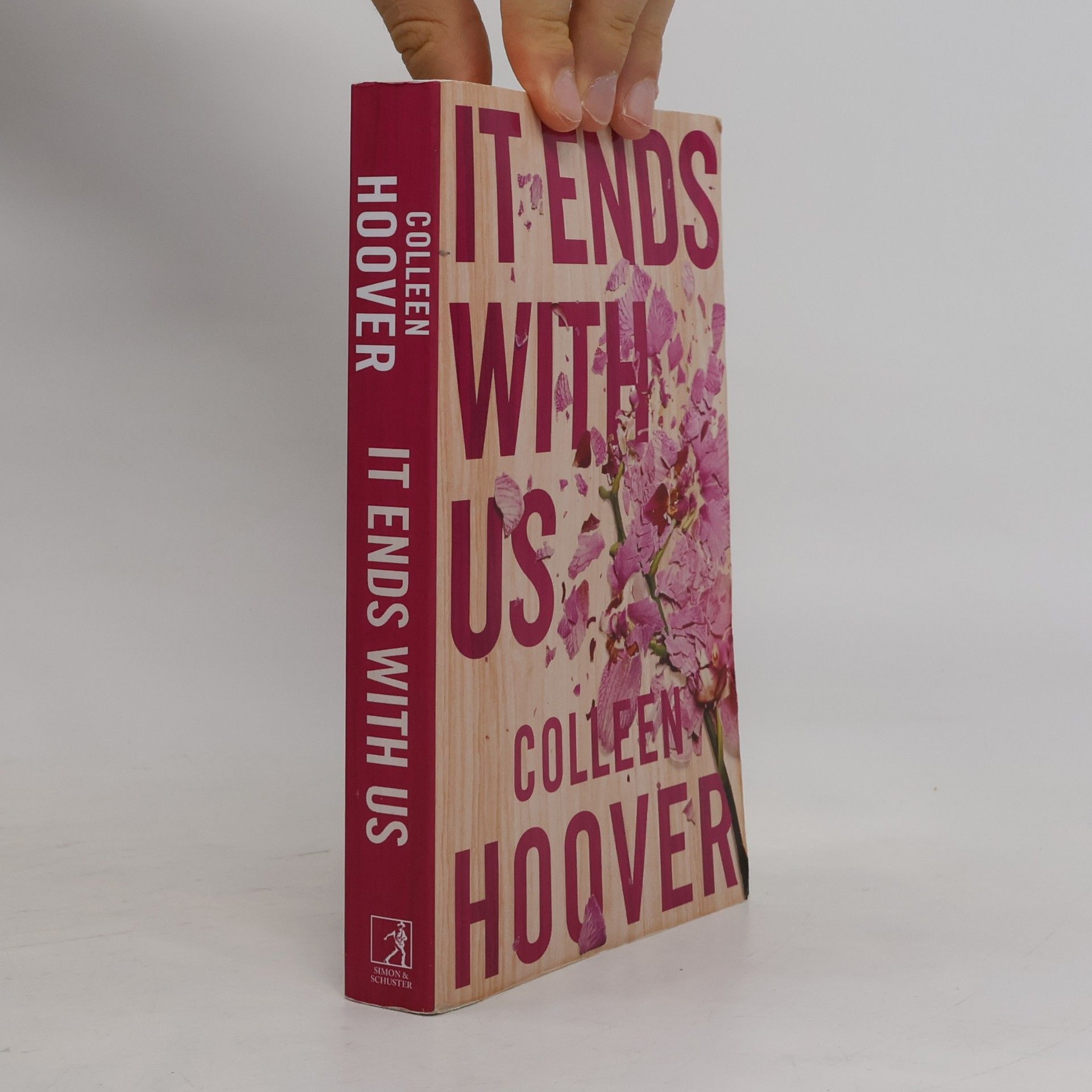 Colleen Hoover It Ends With Us