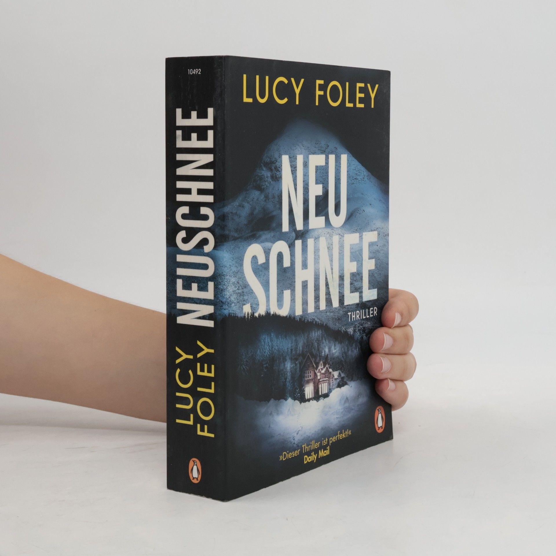 Lucy Foley Neuschnee