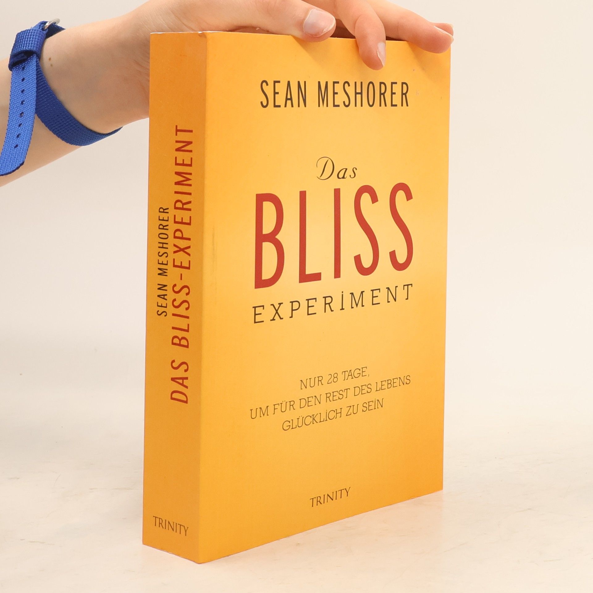 Sean Meshorer Das Bliss-Experiment
