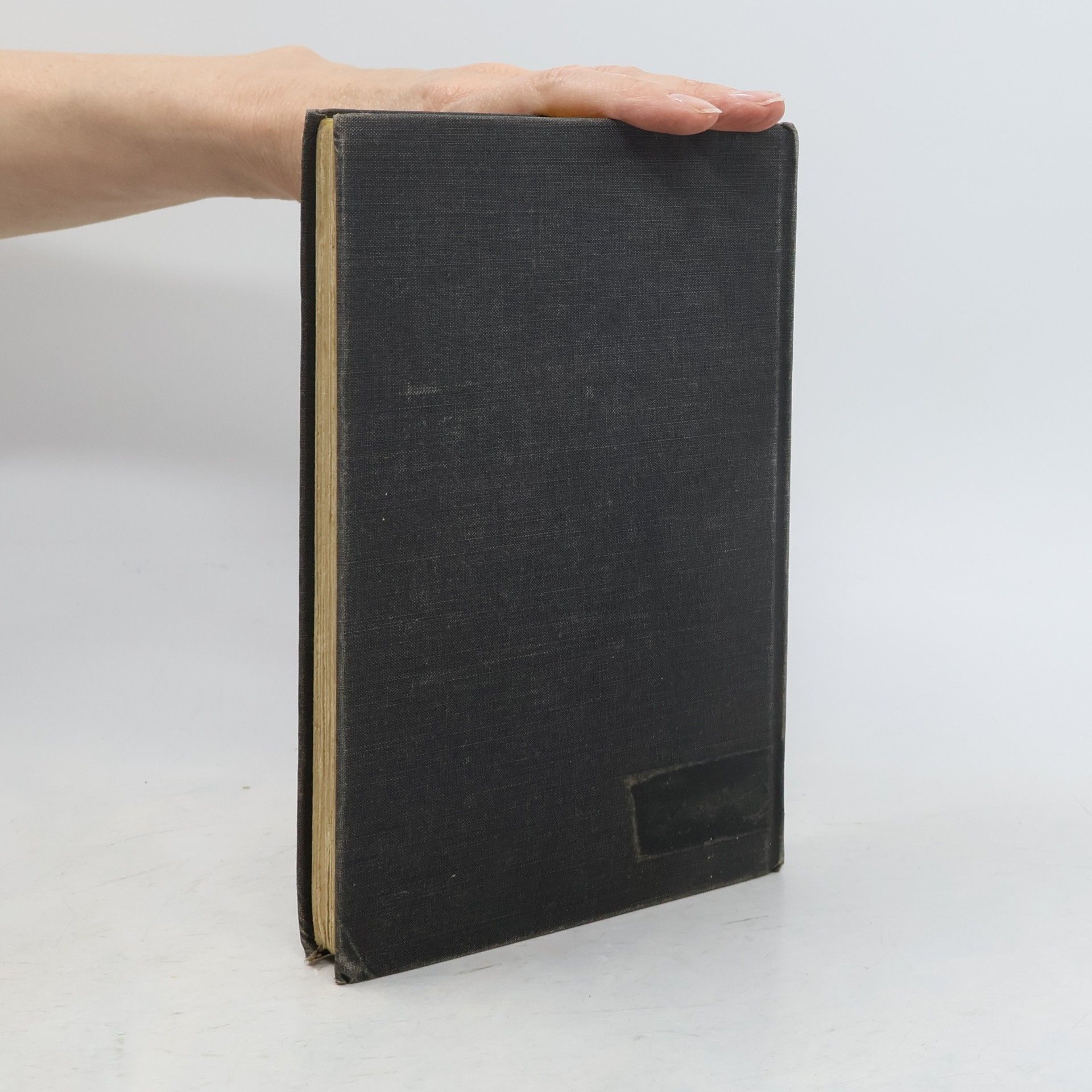 F. Scott Fitzgerald The Man and His Work