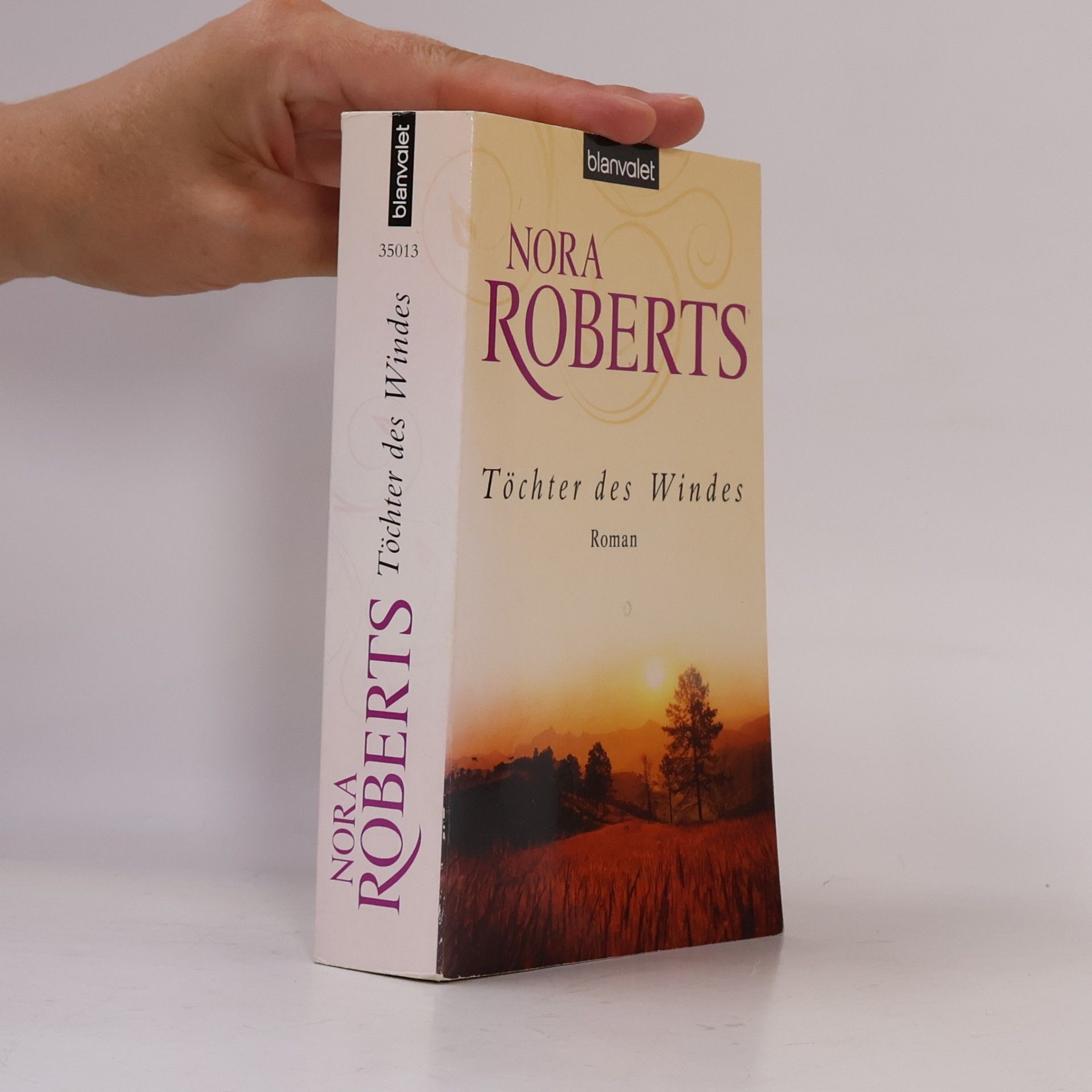 Nora Roberts Töchter des Windes