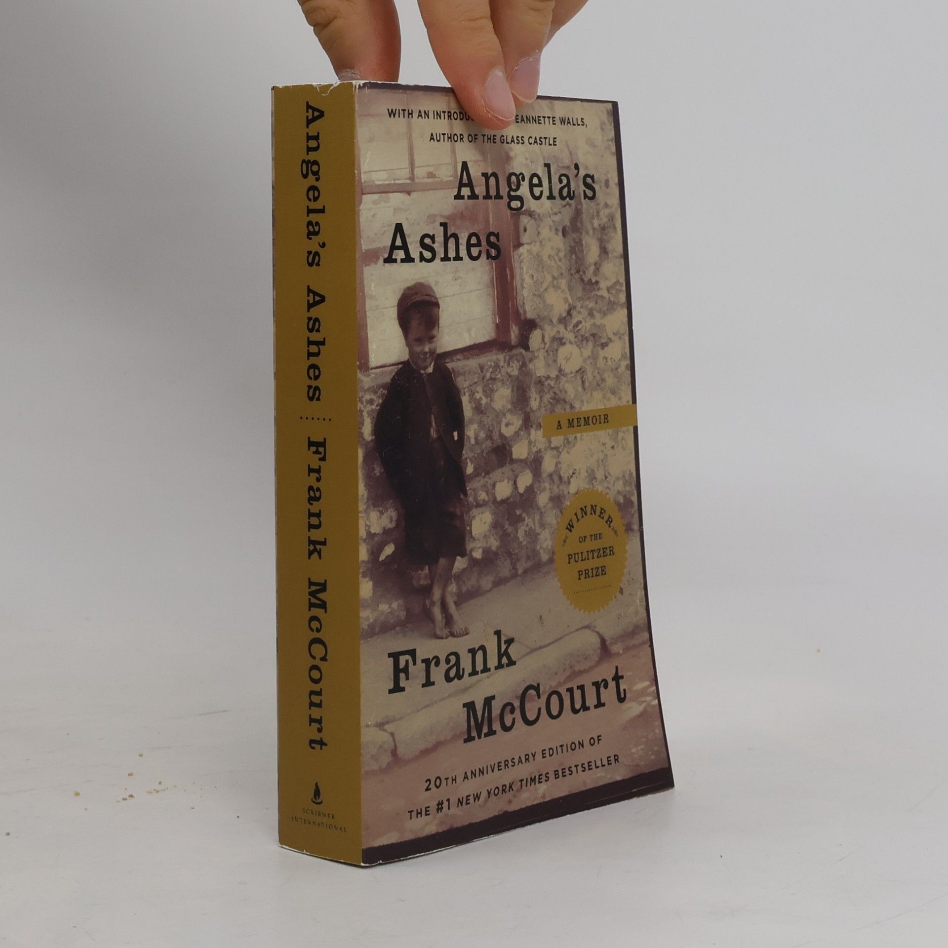 Frank McCourt Angela's Ashes
