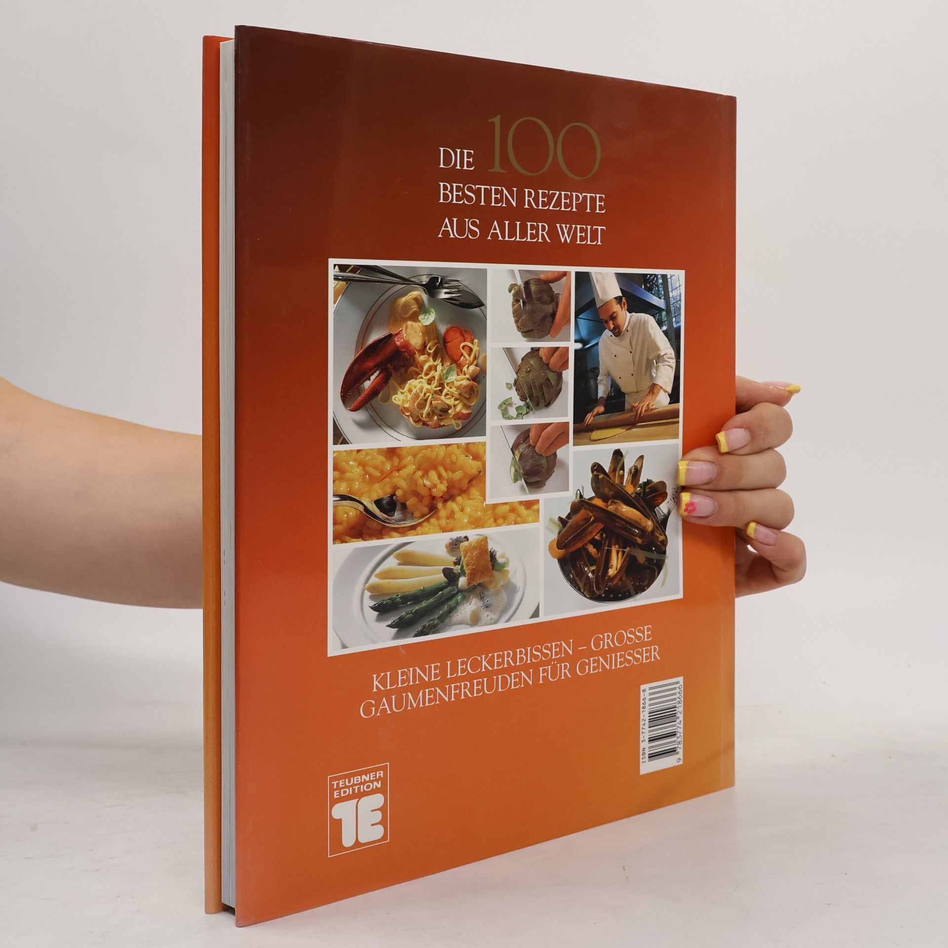 Kolektiv autorů Die 100 besten Rezepte aus aller Welt Vorspeisen
