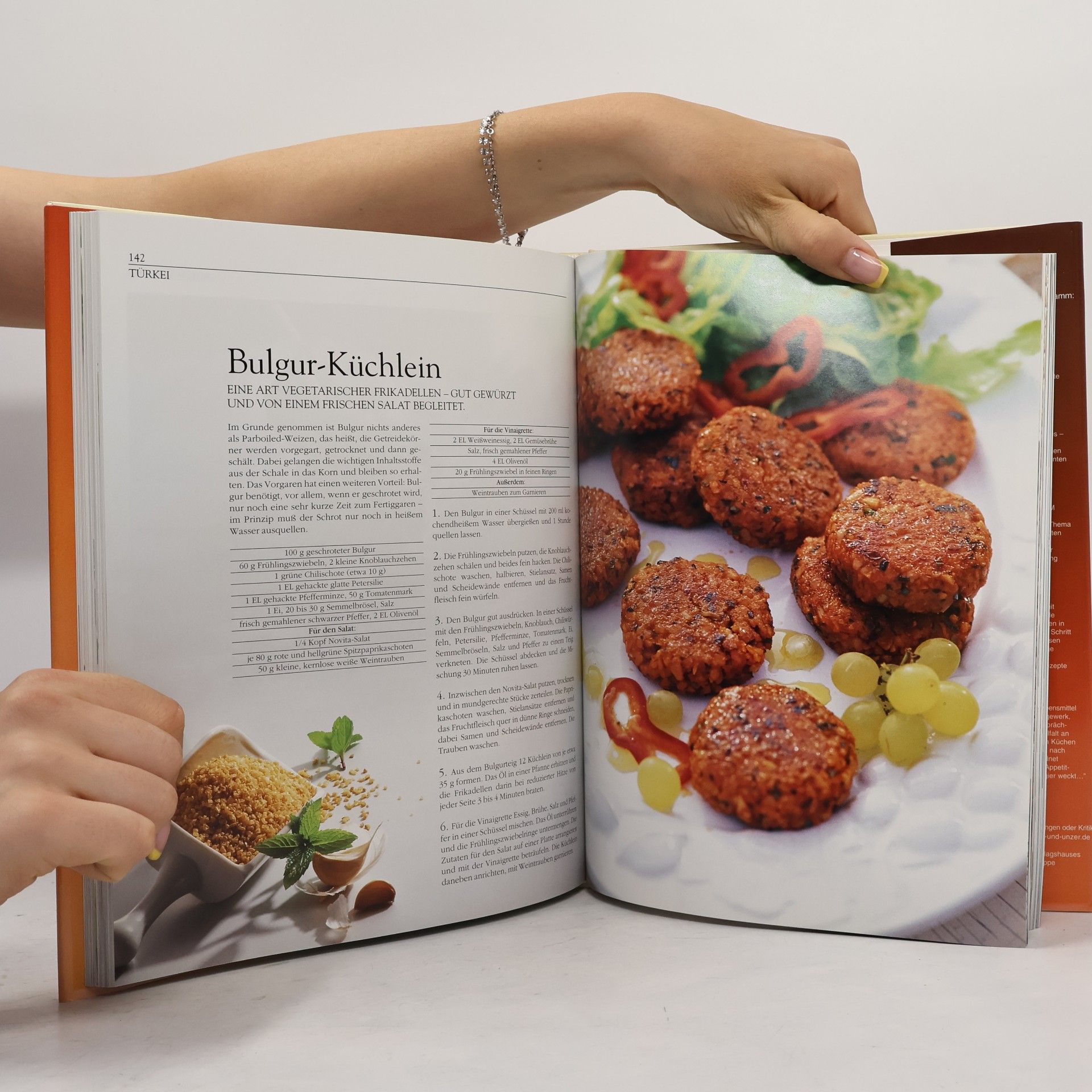 Kolektiv autorů Die 100 besten Rezepte aus aller Welt Vorspeisen