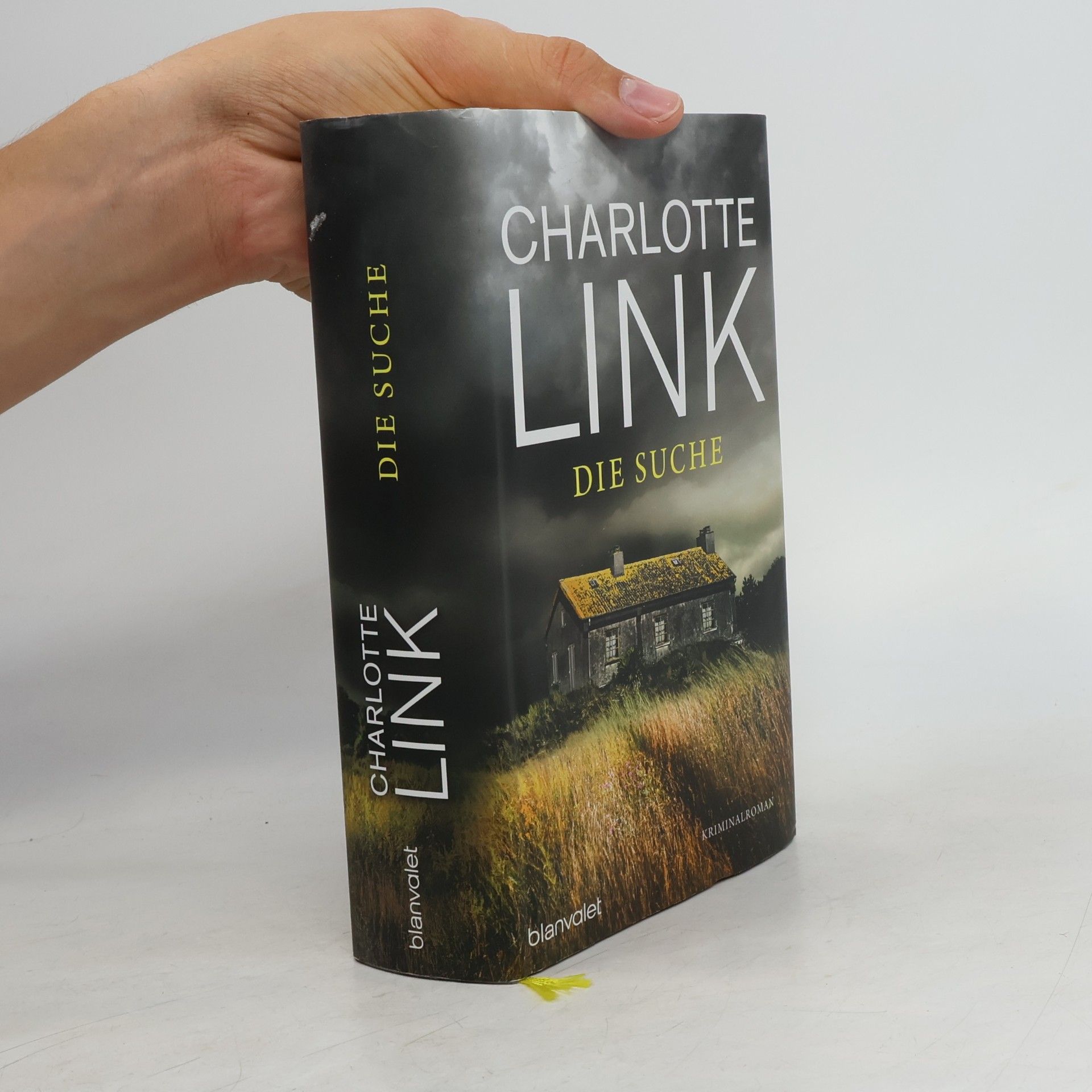 Charlotte Link Die Suche