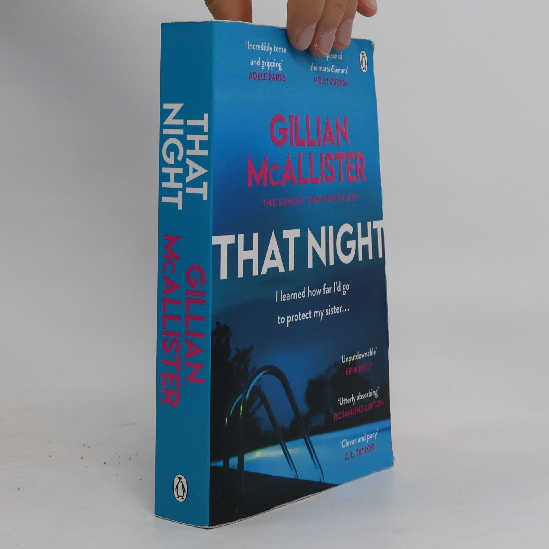 Gillian McAllister That Night